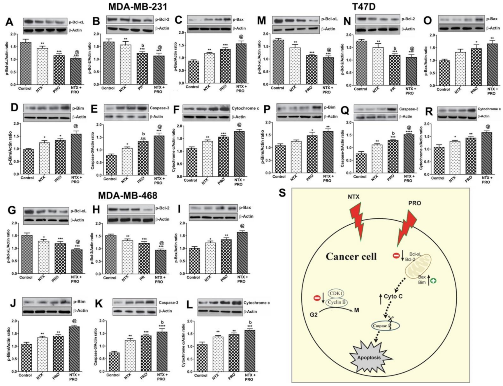 Cancers 13 04858 g005 Cancers 13 04858 g005