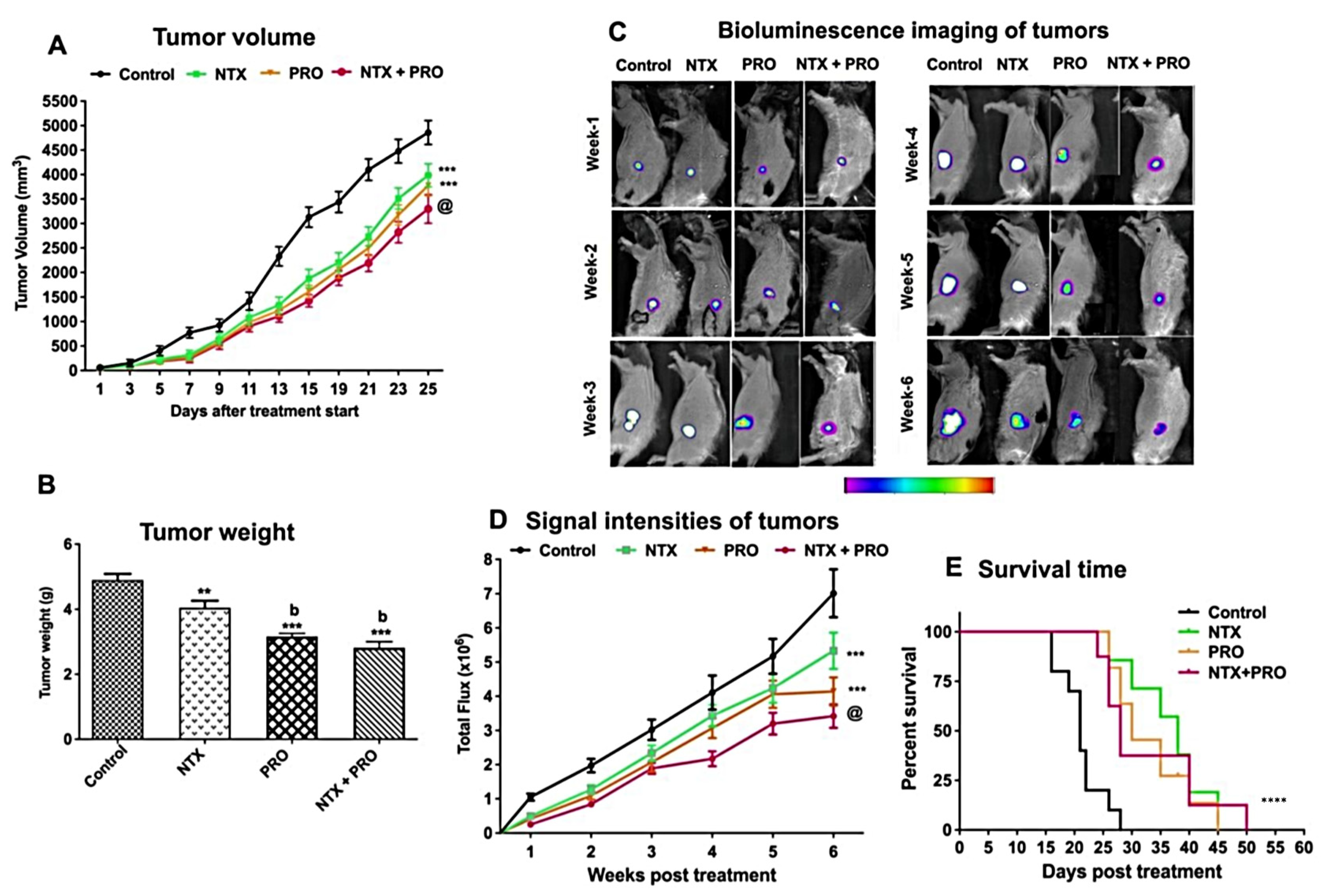 Cancers 13 04858 g006 Cancers 13 04858 g006