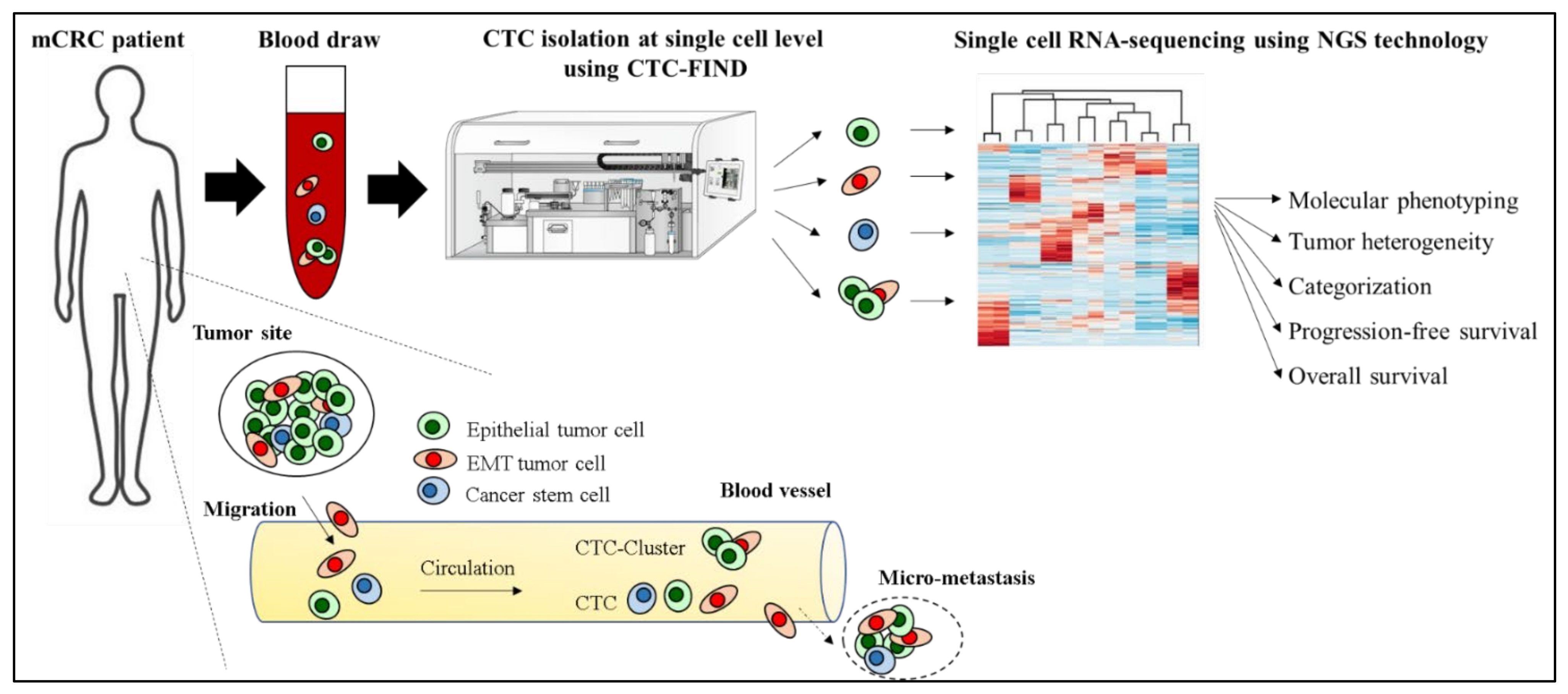 Cancers 13 04862 g001