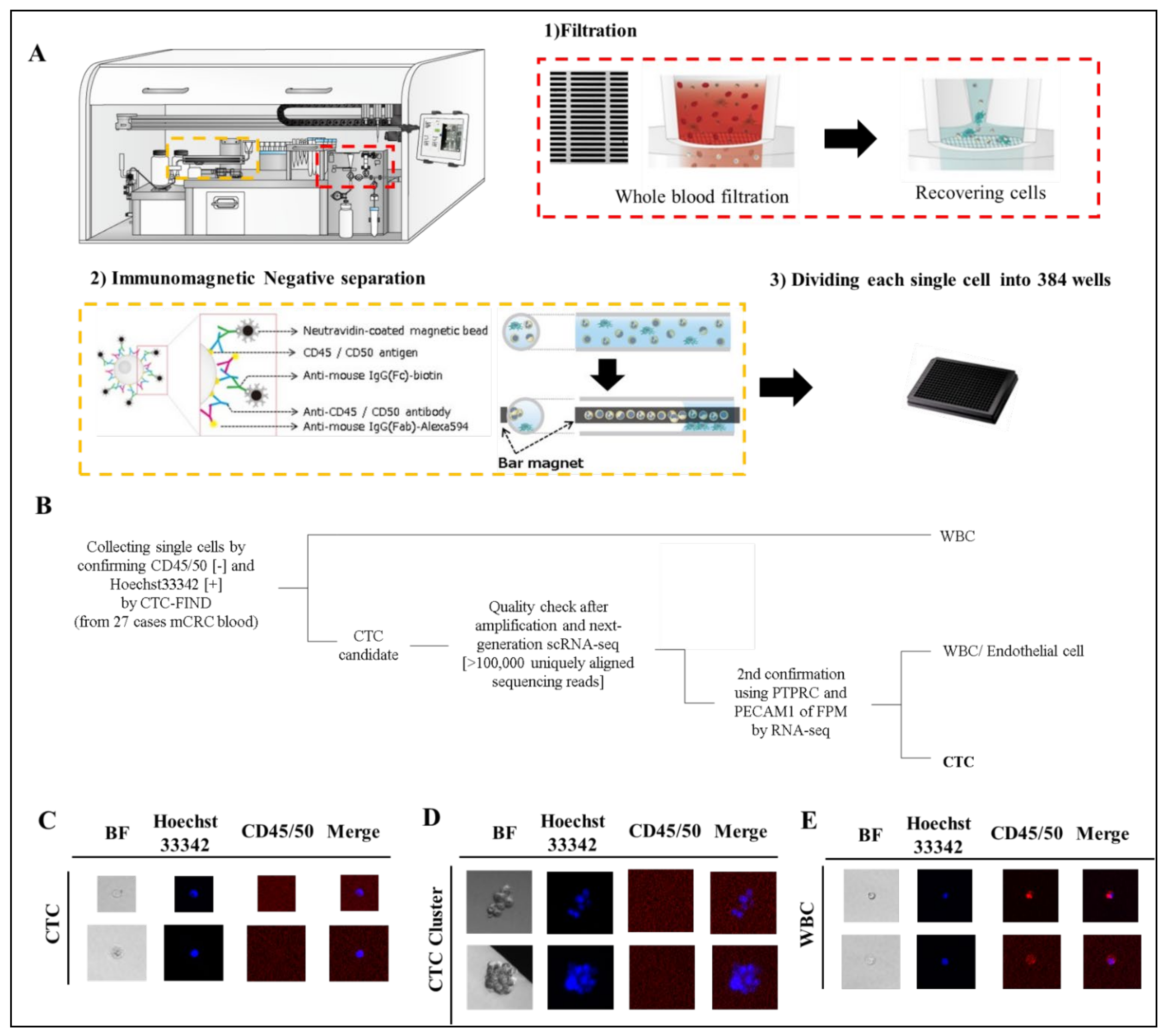 Cancers 13 04862 g002