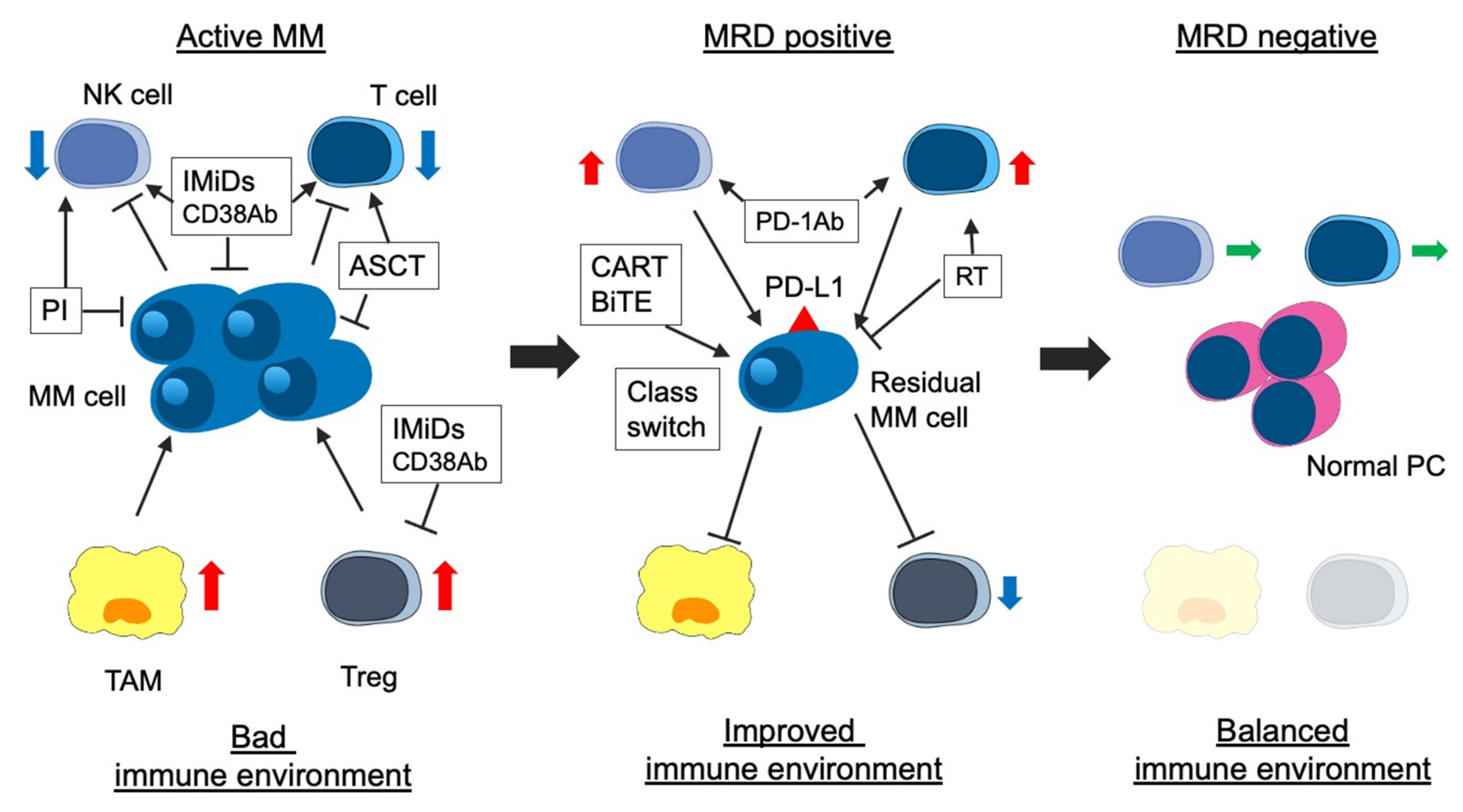 Cancers 13 04867 g001 Cancers 13 04867 g001