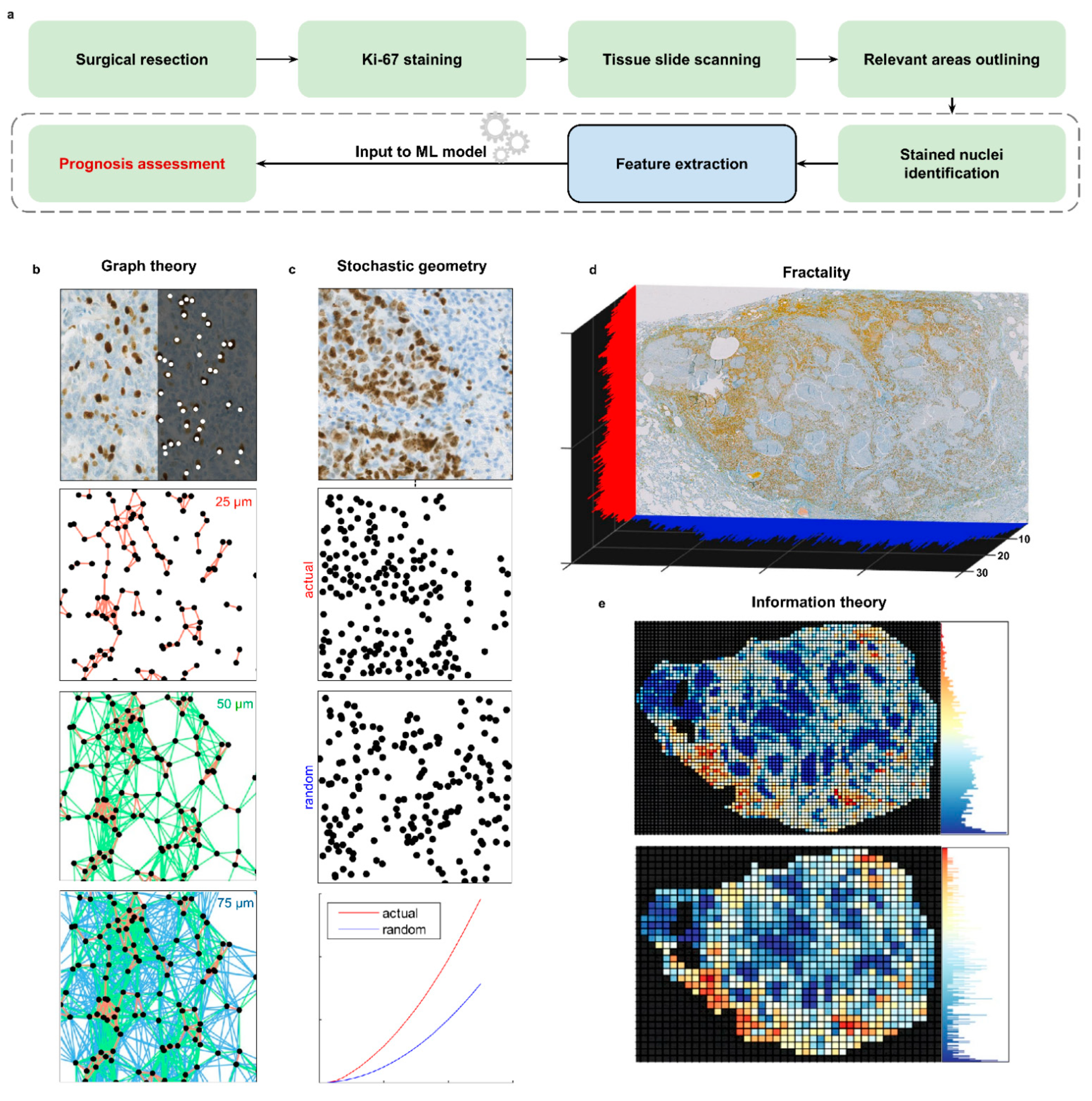 Cancers 13 04875 g001