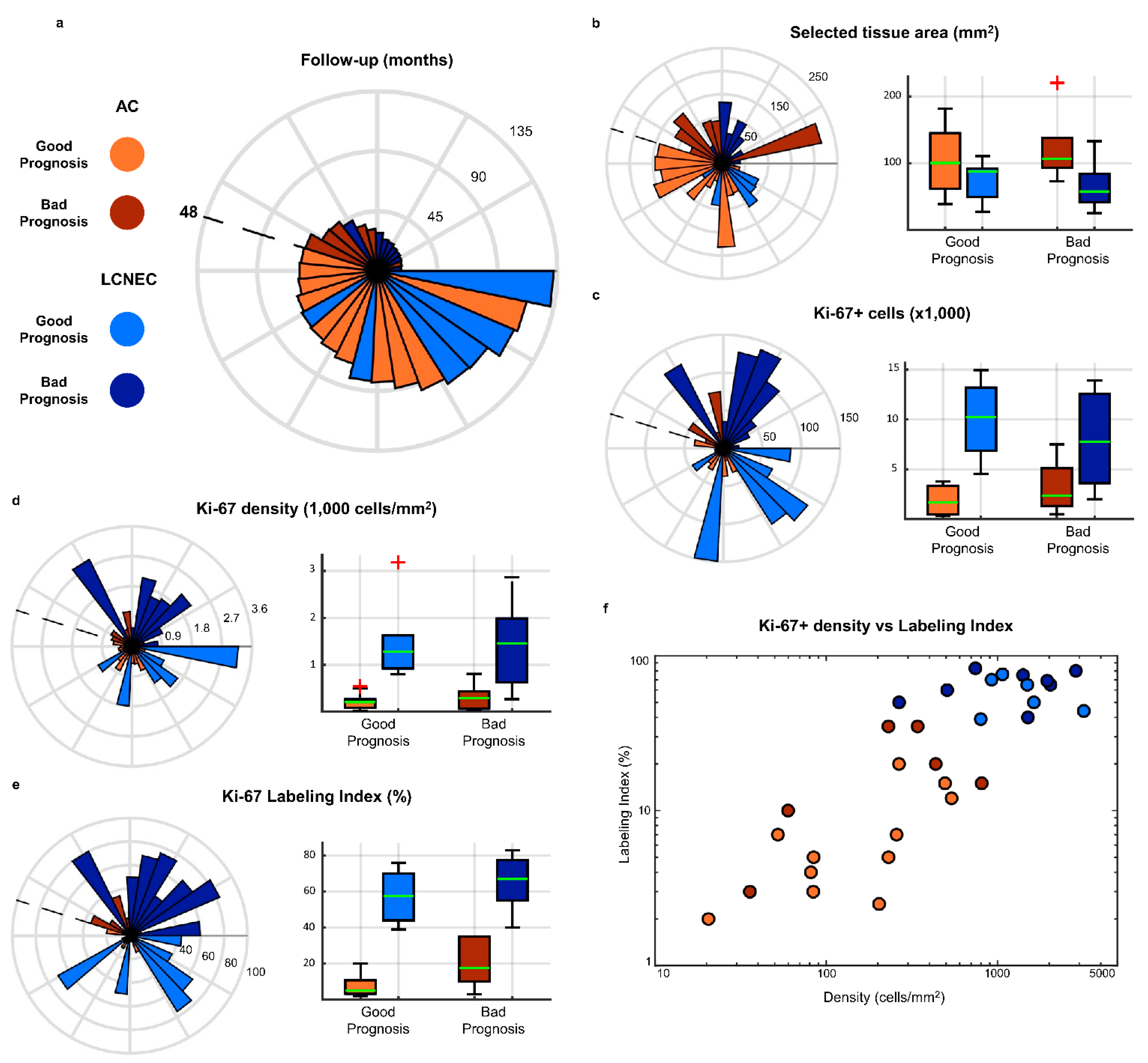 Cancers 13 04875 g002