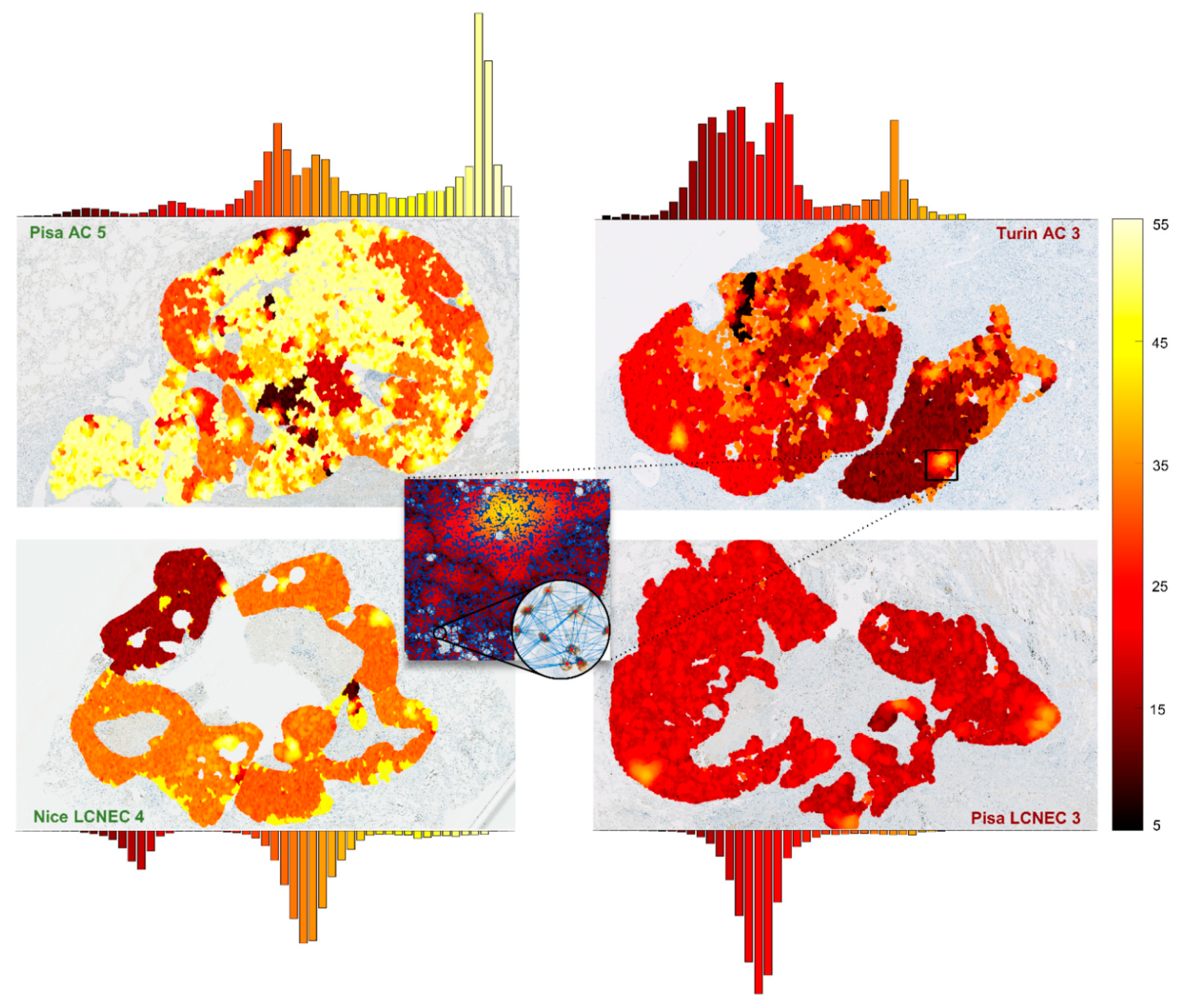 Cancers 13 04875 g007