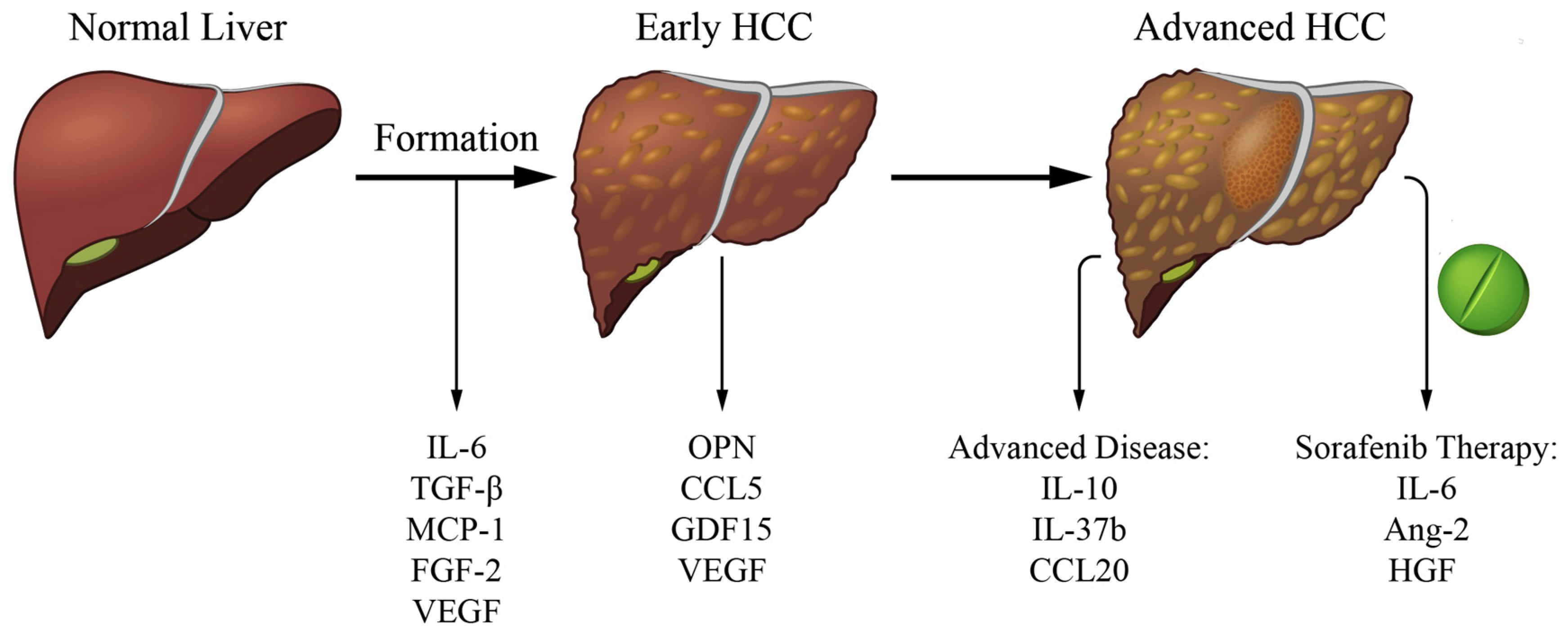 Cancers 13 04876 g001