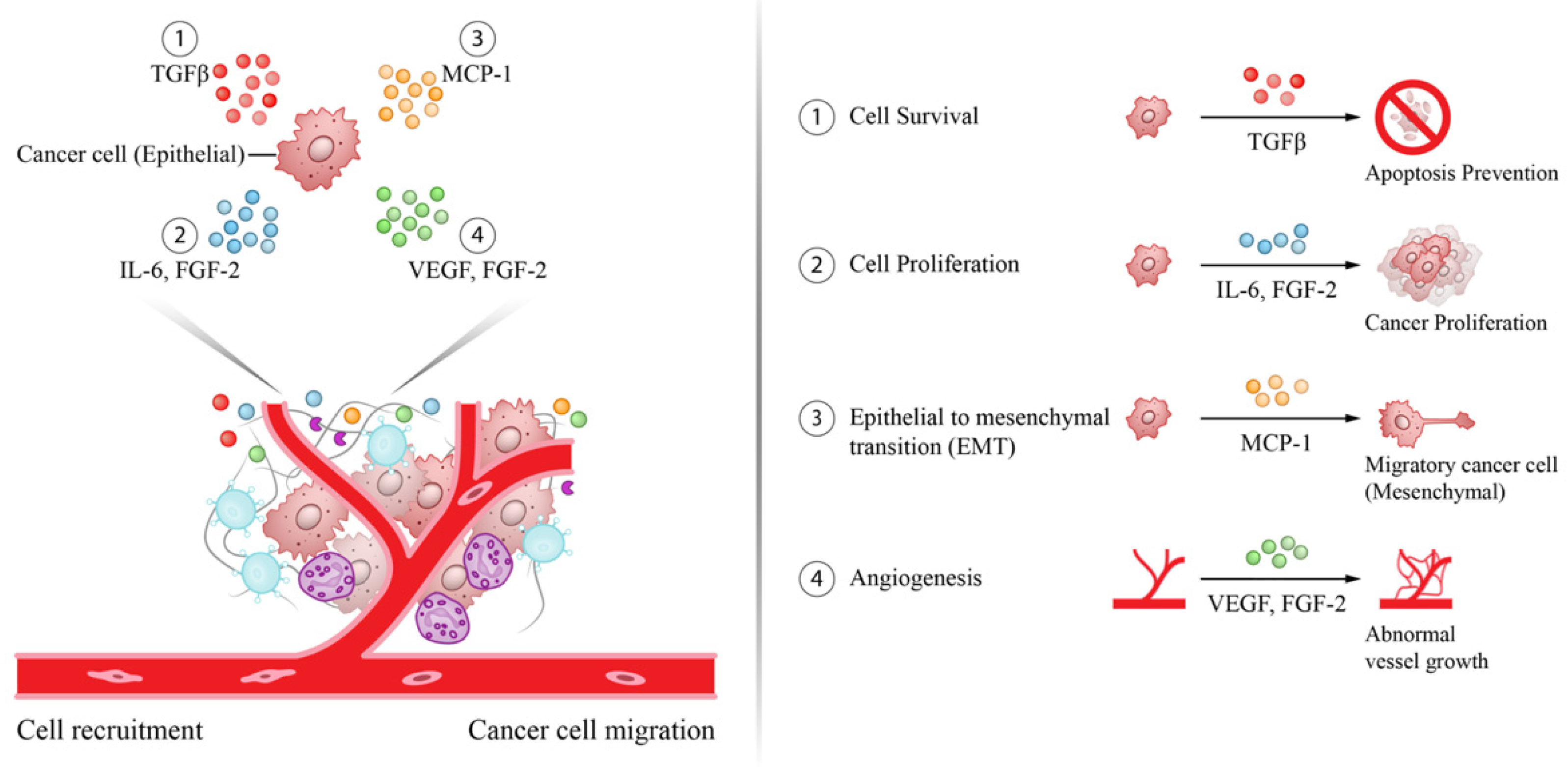 Cancers 13 04876 g002