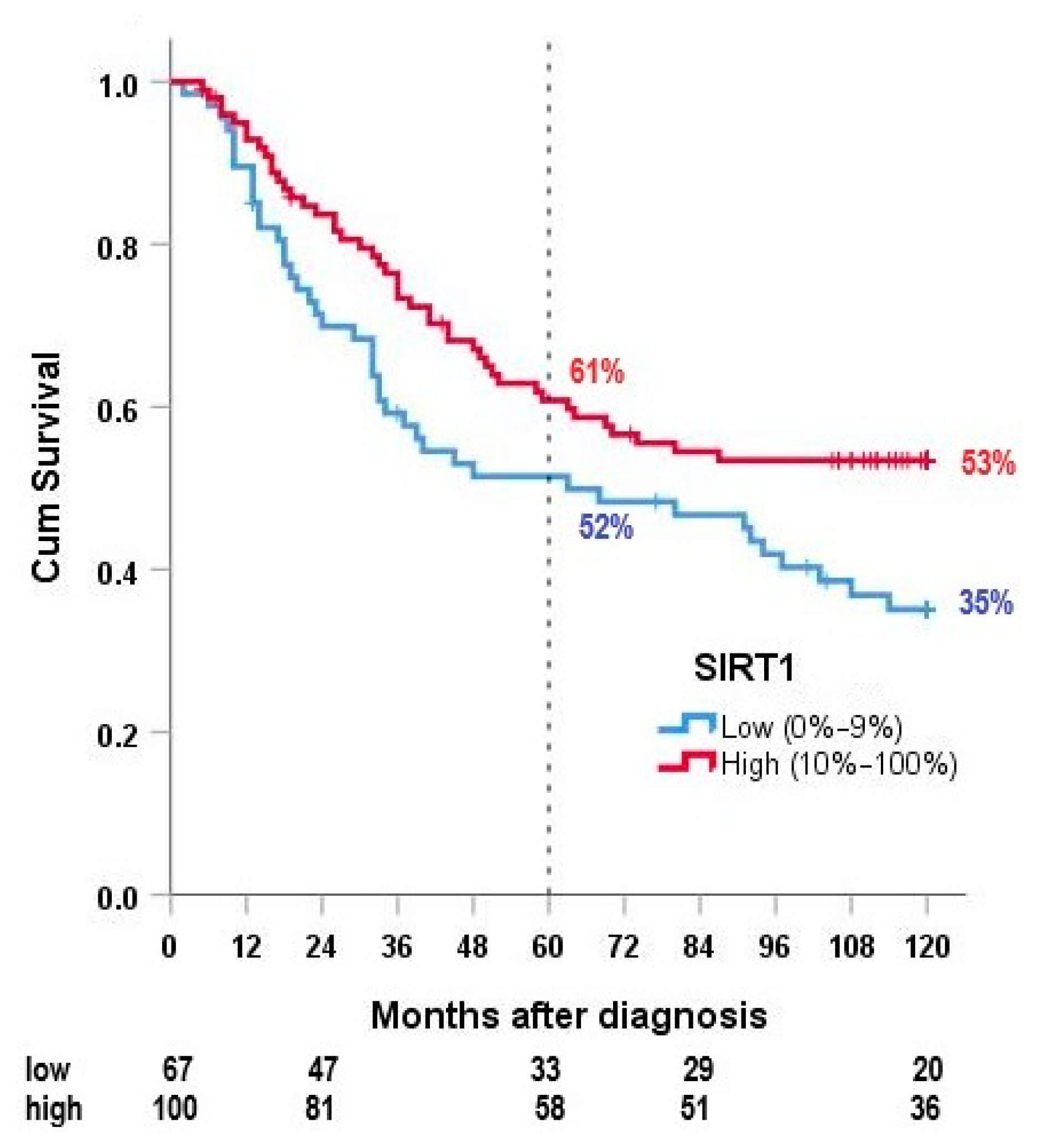 Cancers 13 04877 g004