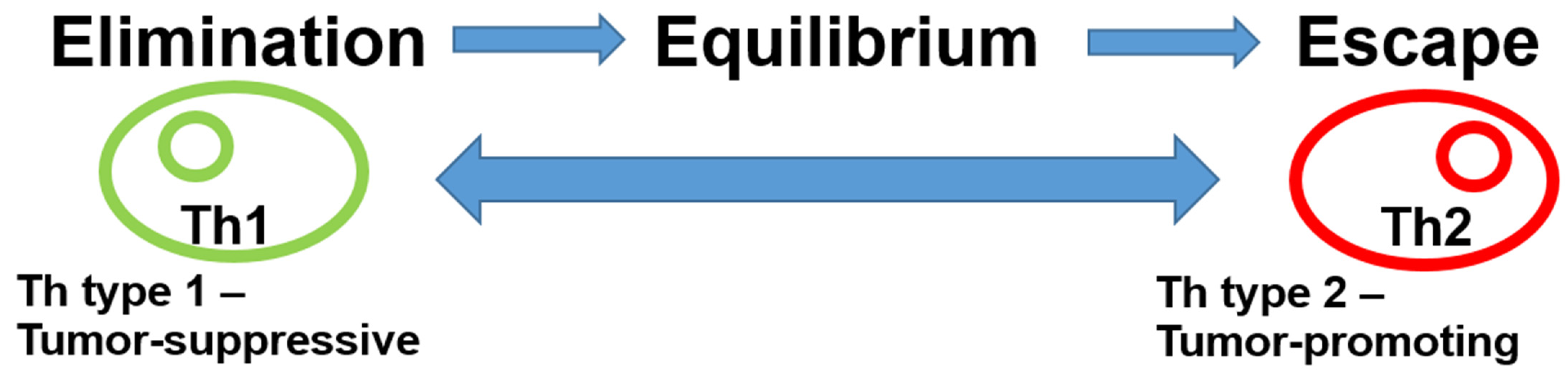 Cancers 13 04883 g001