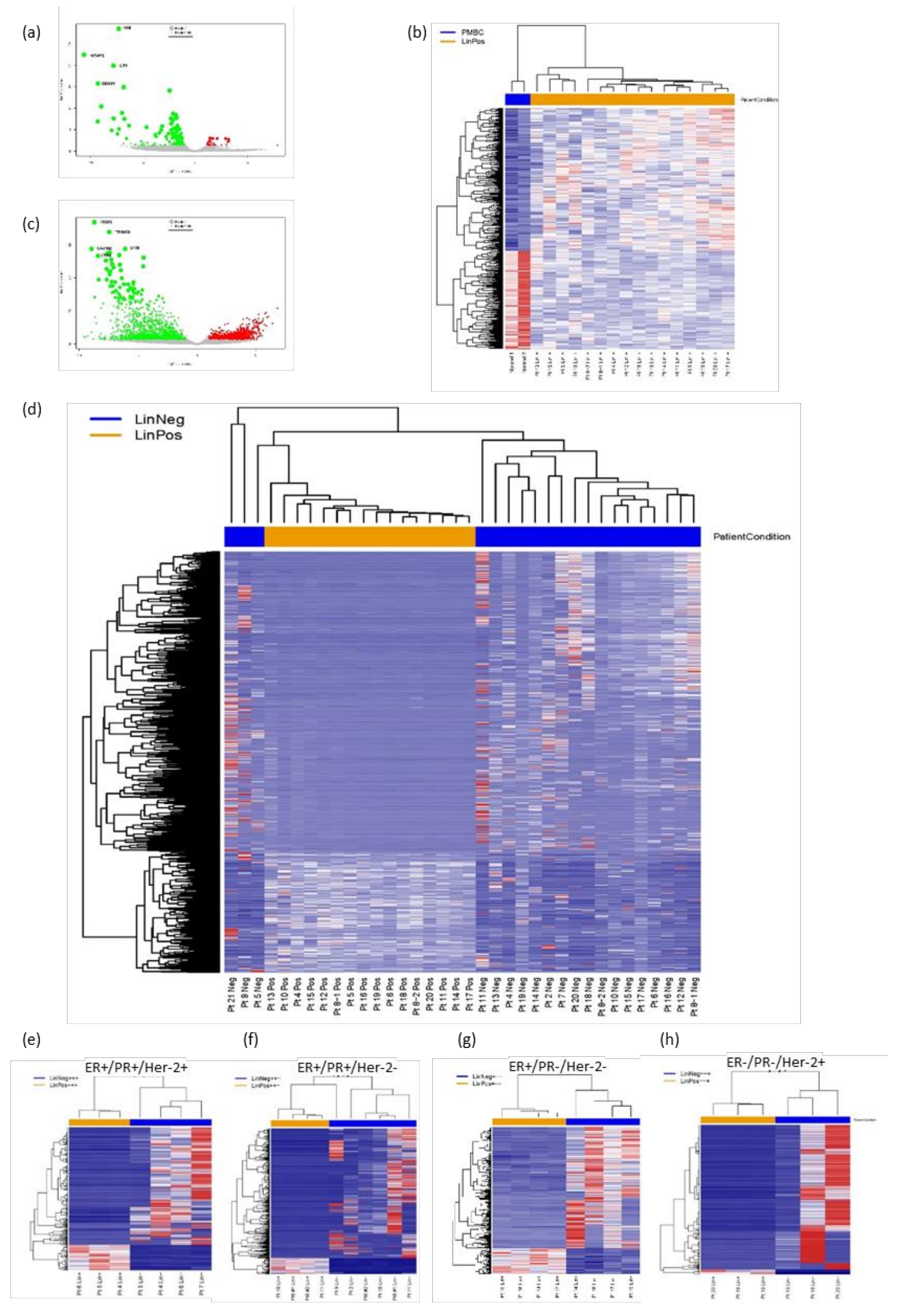 Cancers 13 04885 g003