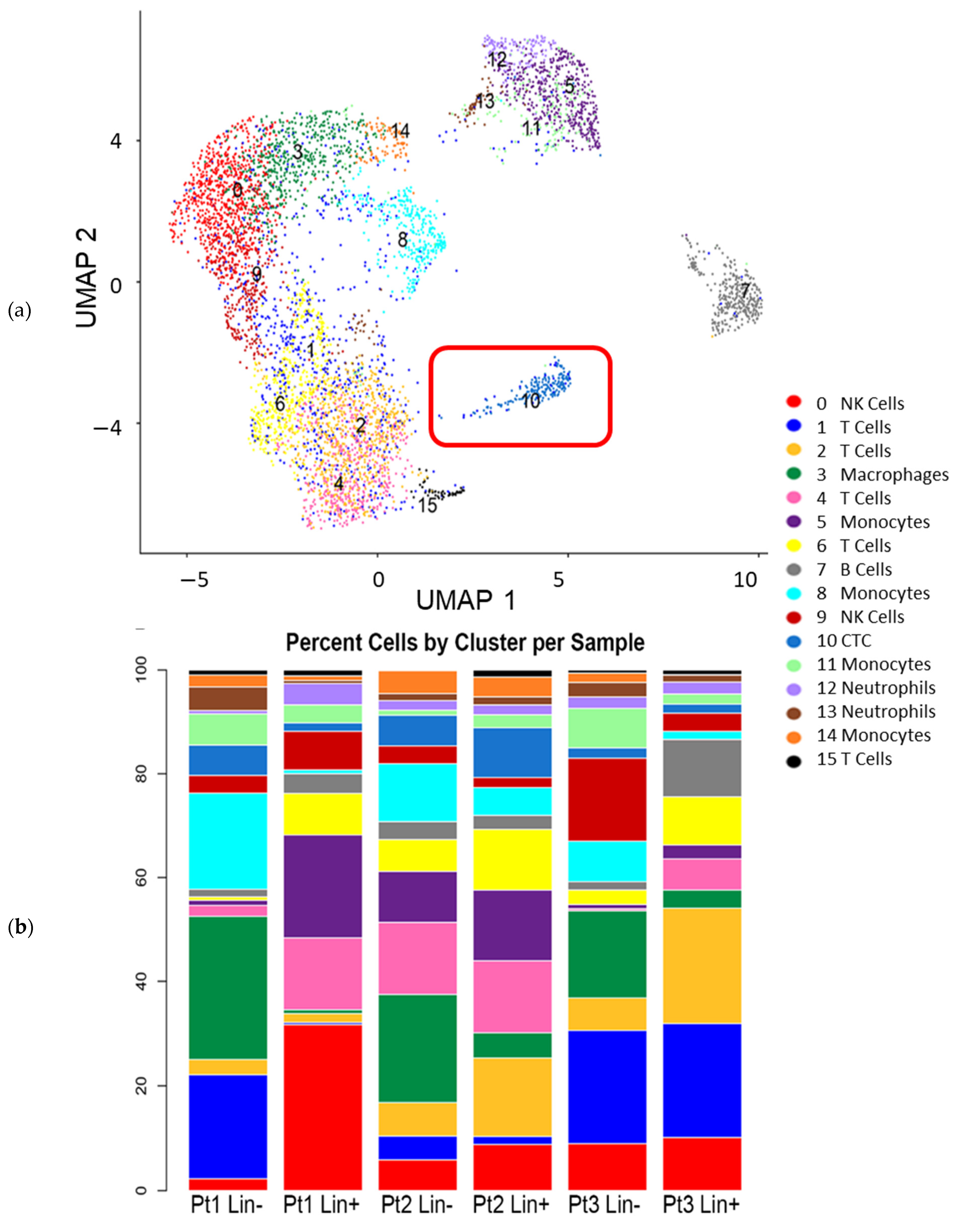Cancers 13 04885 g004