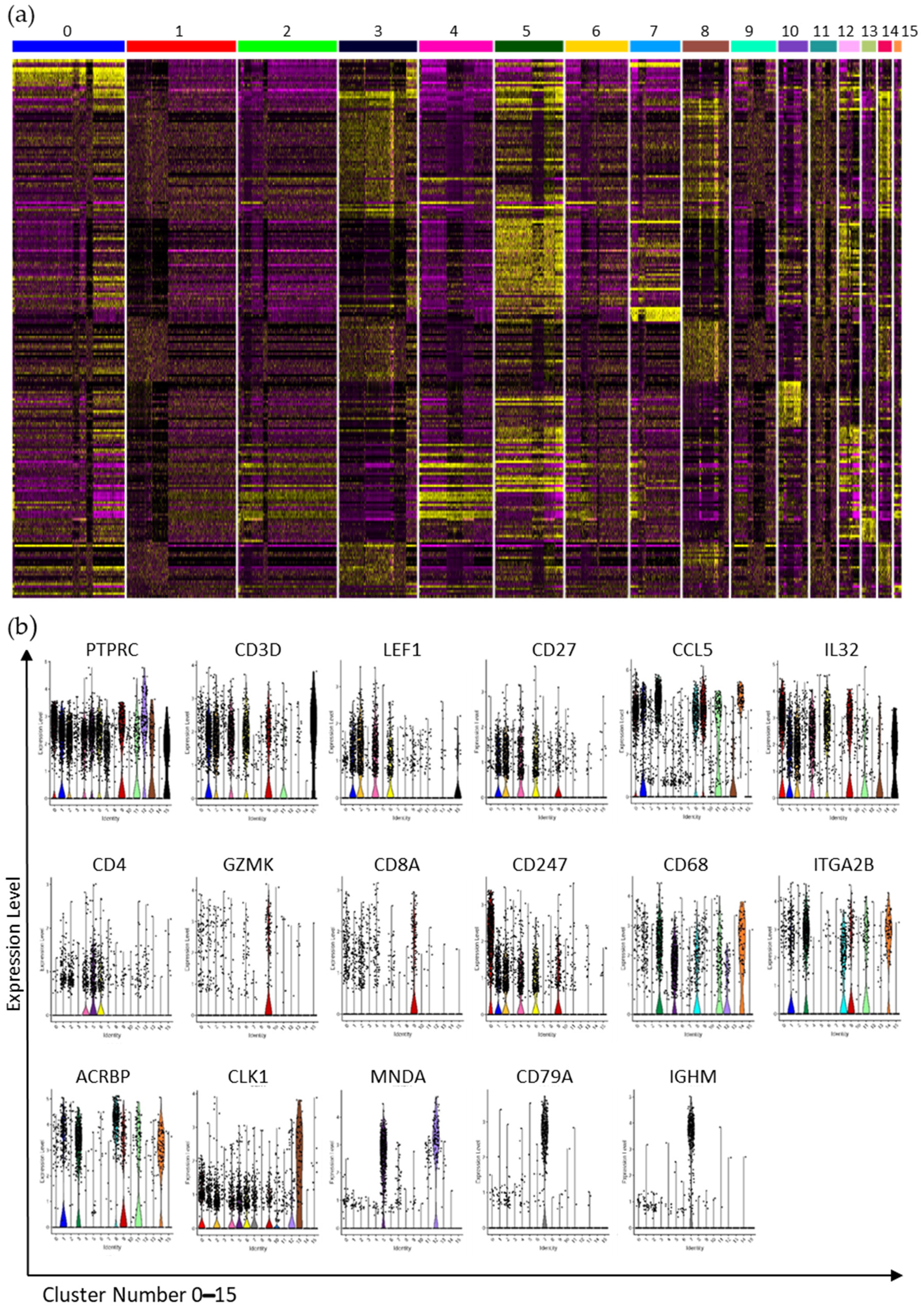 Cancers 13 04885 g005