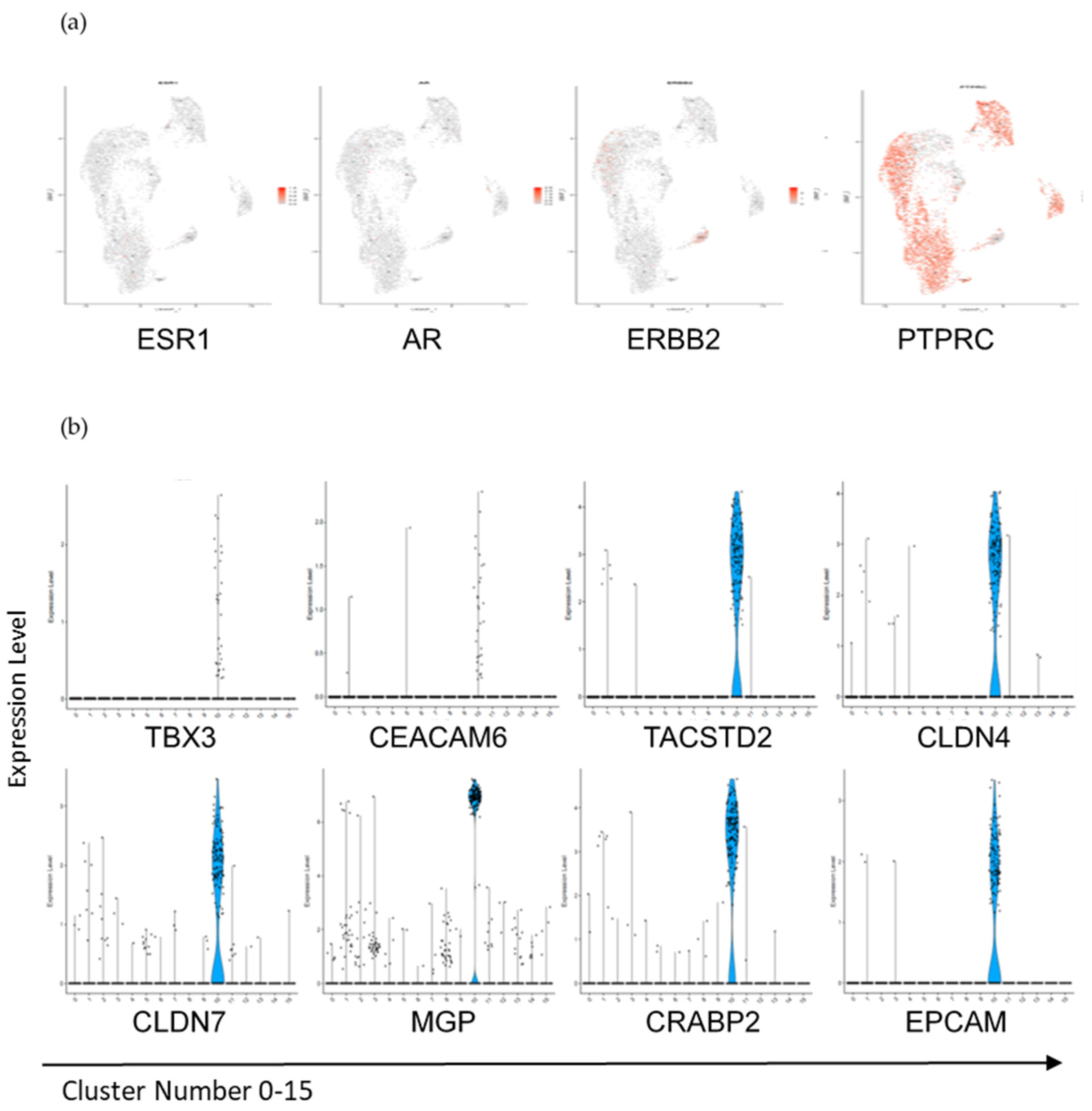 Cancers 13 04885 g006