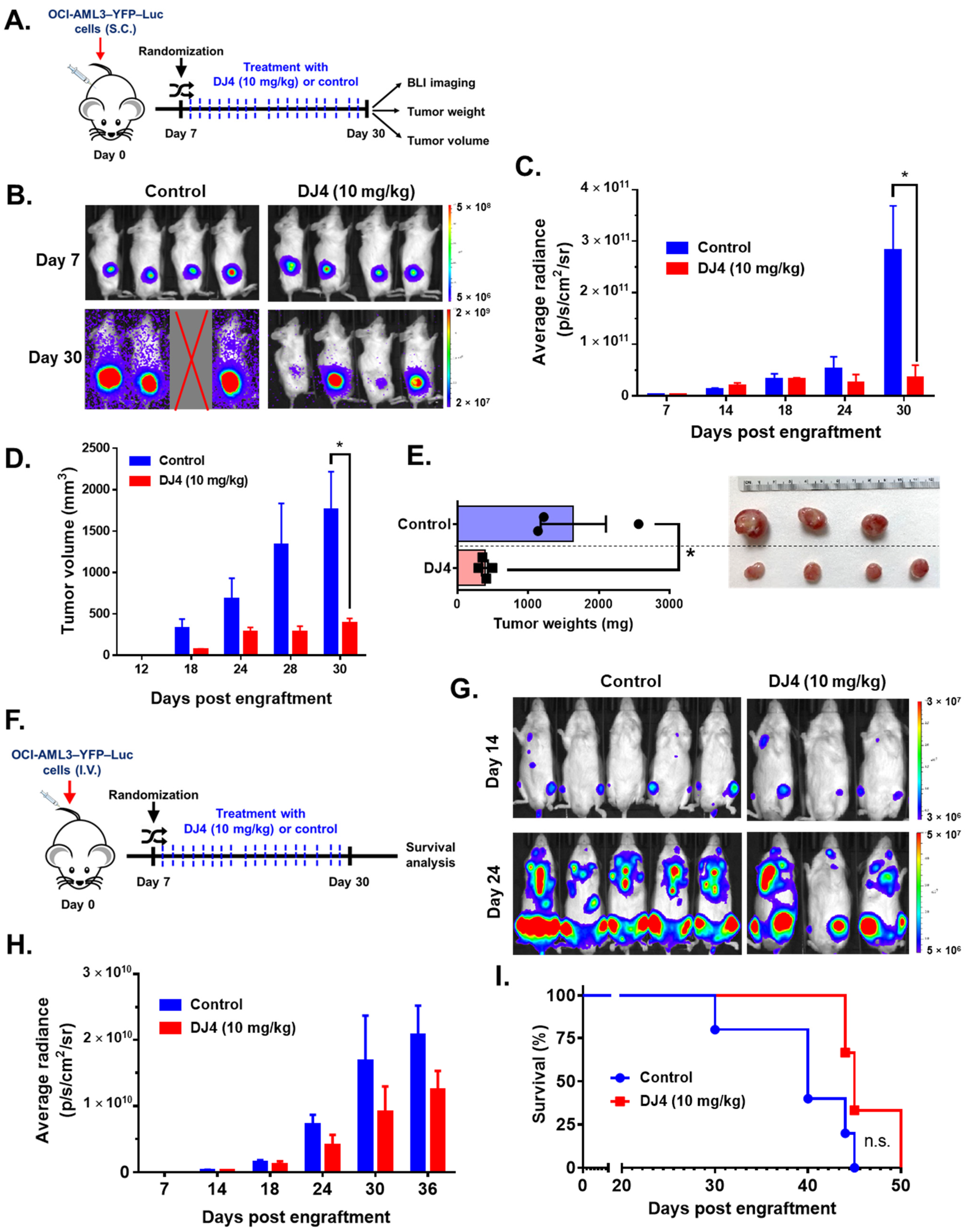 Cancers 13 04889 g006 Cancers 13 04889 g006