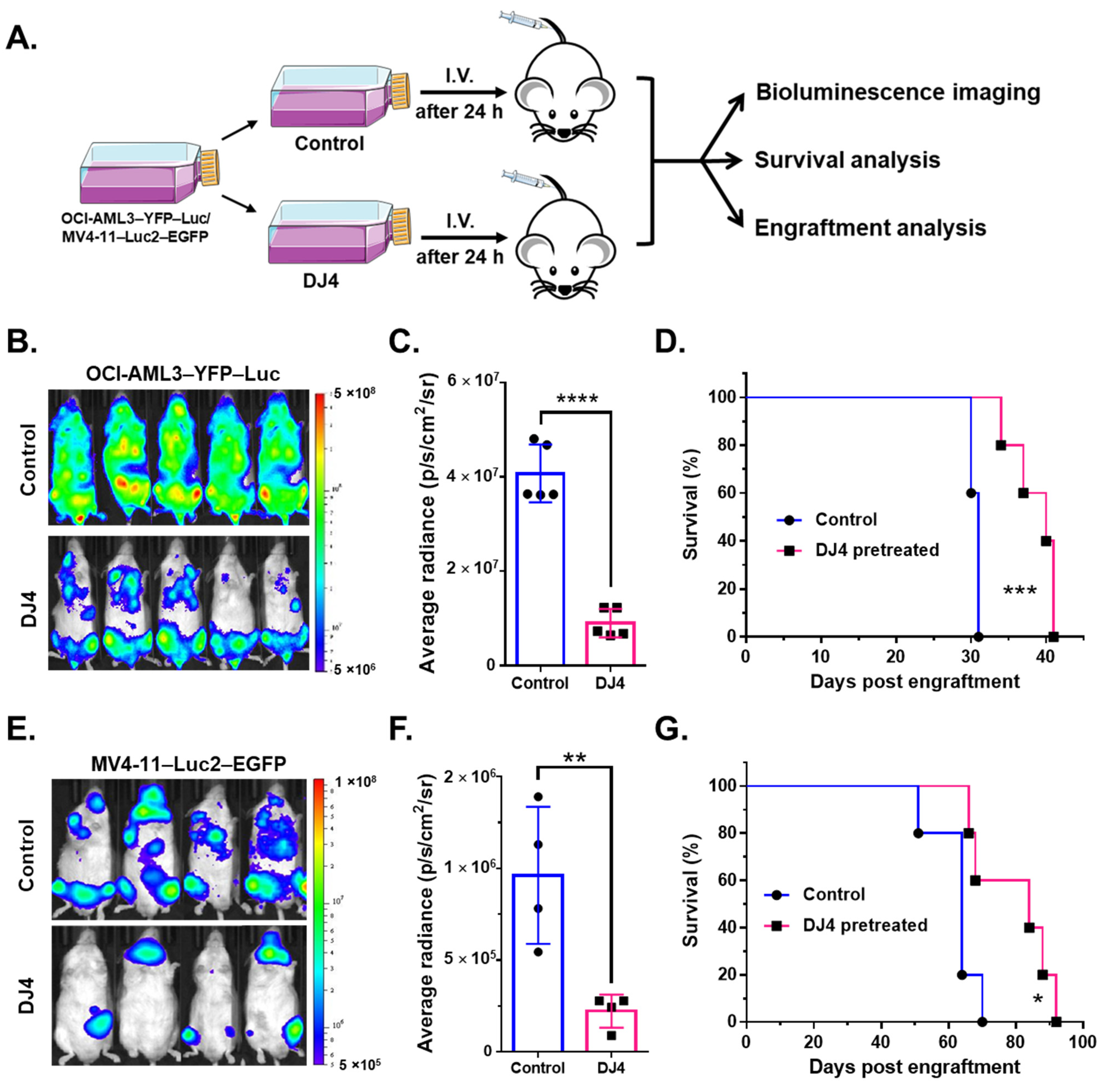 Cancers 13 04889 g007 Cancers 13 04889 g007
