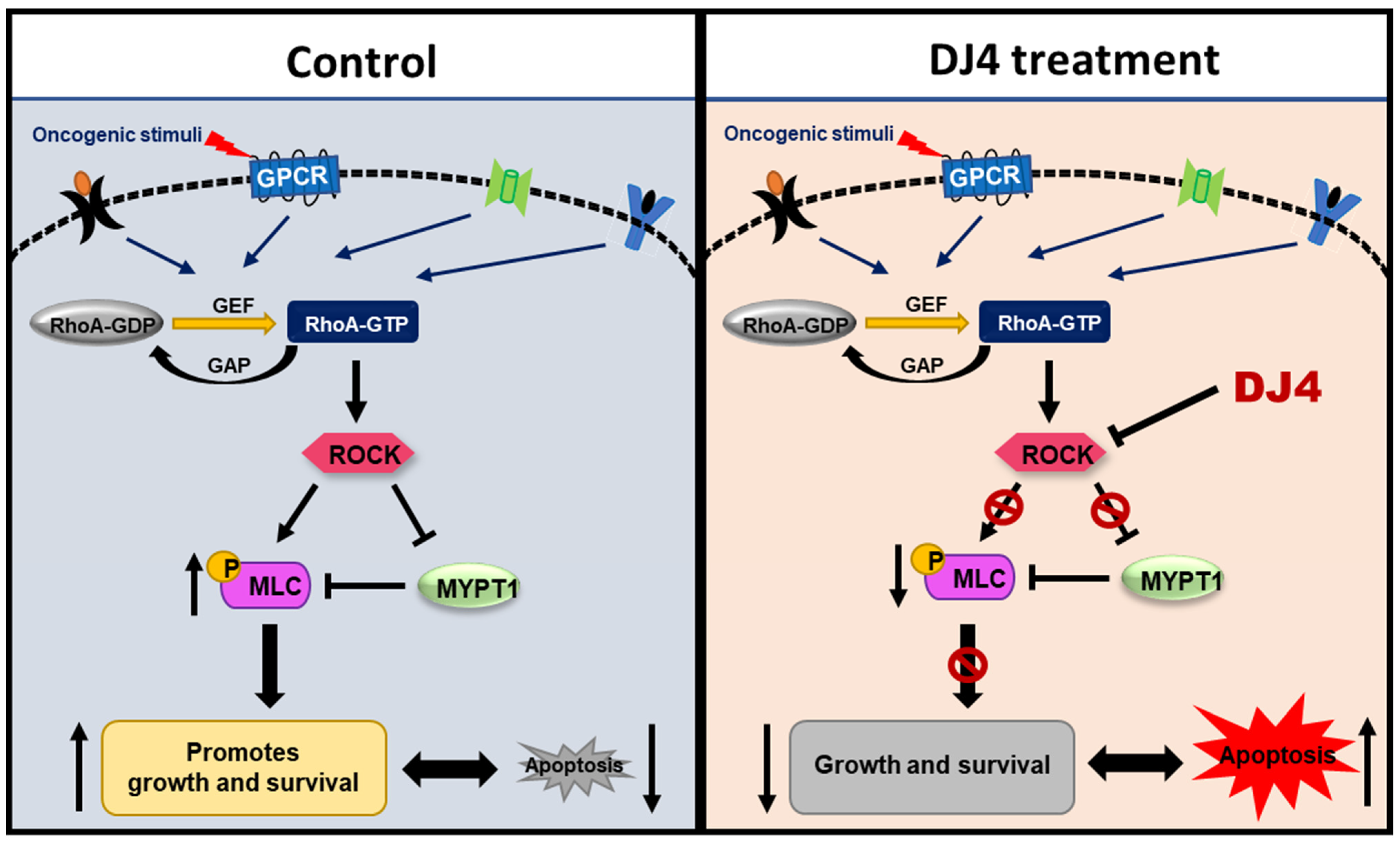 Cancers 13 04889 g008 Cancers 13 04889 g008