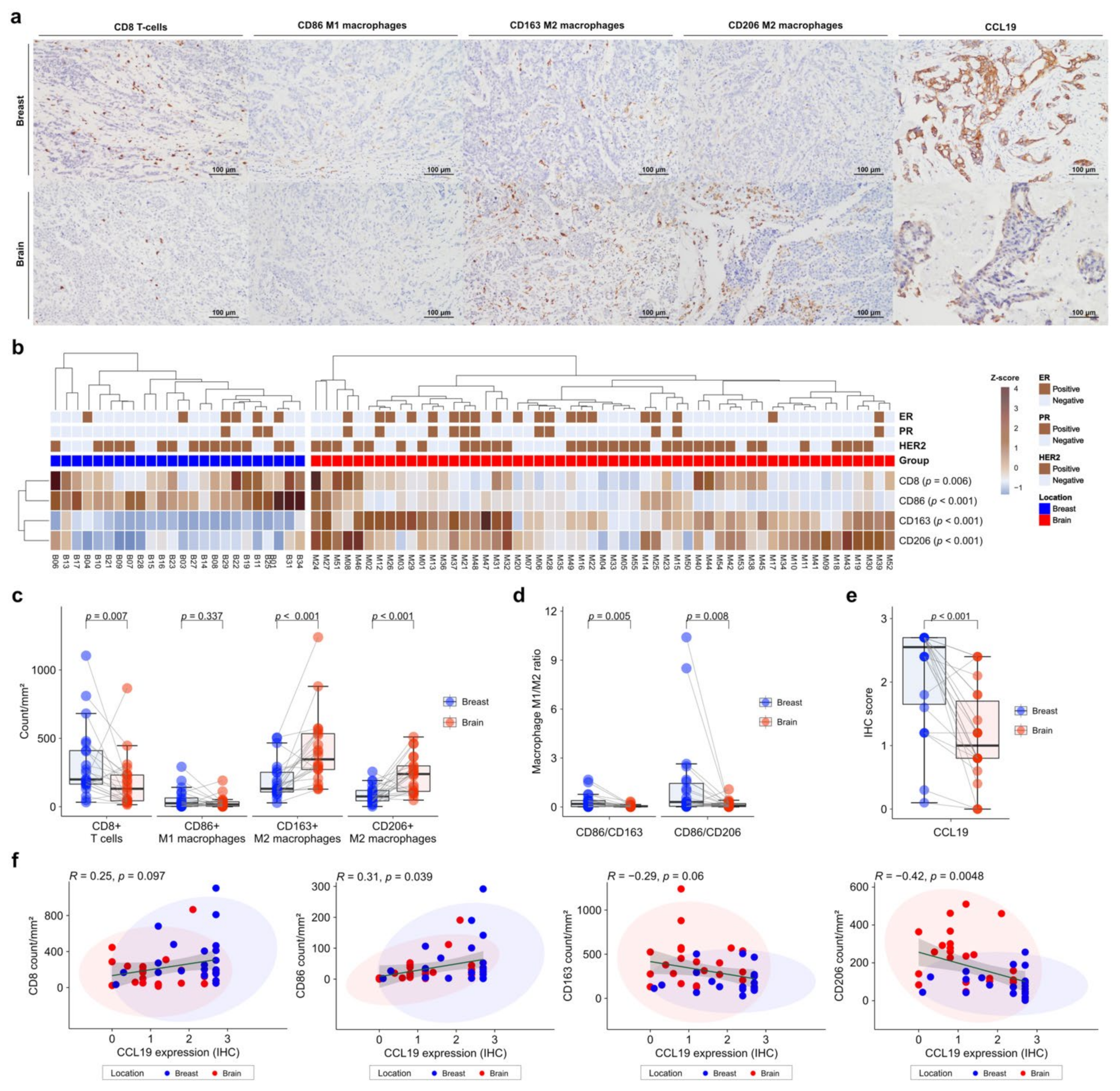 Cancers 13 04895 g004