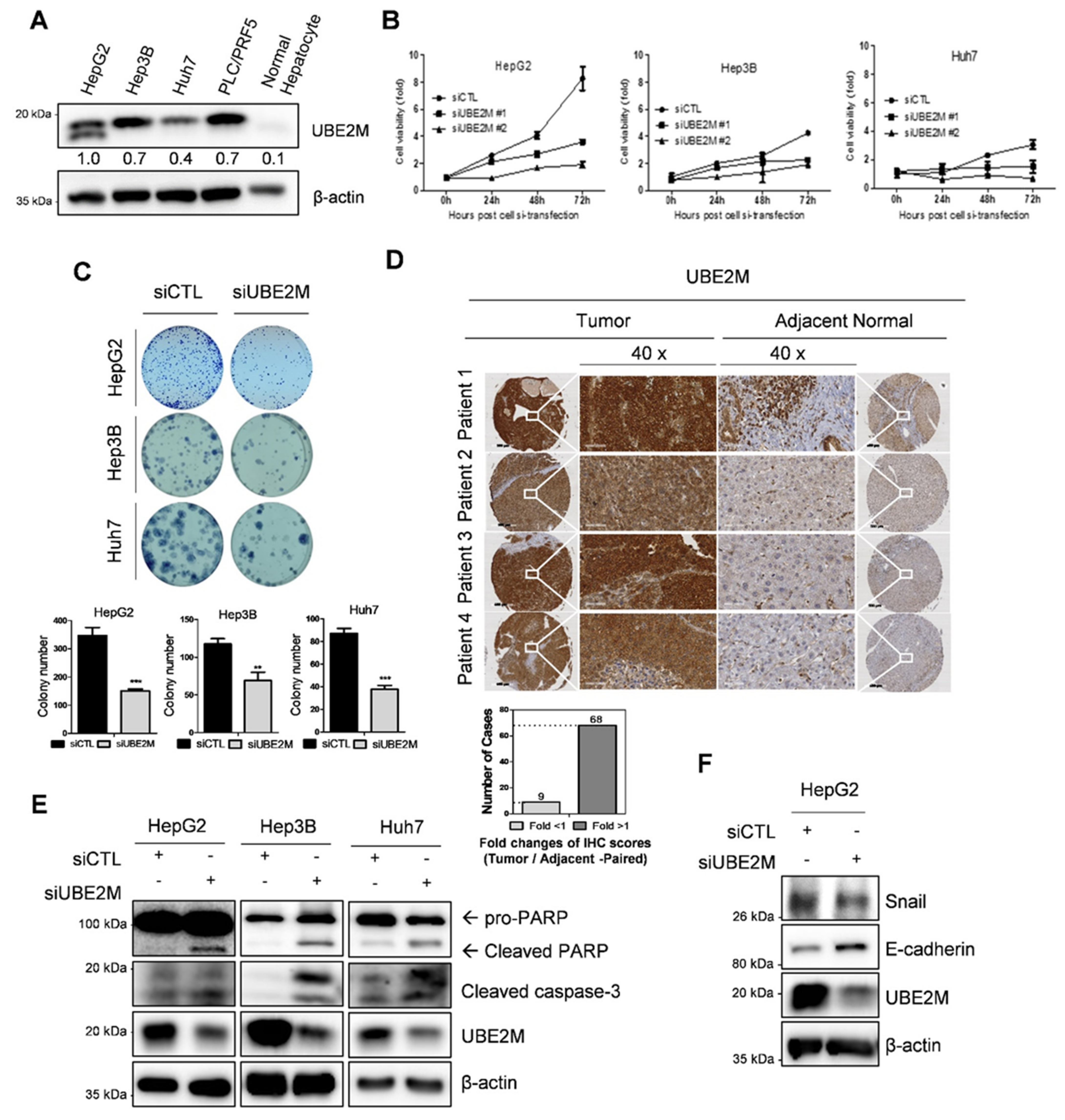 Cancers 13 04901 g001