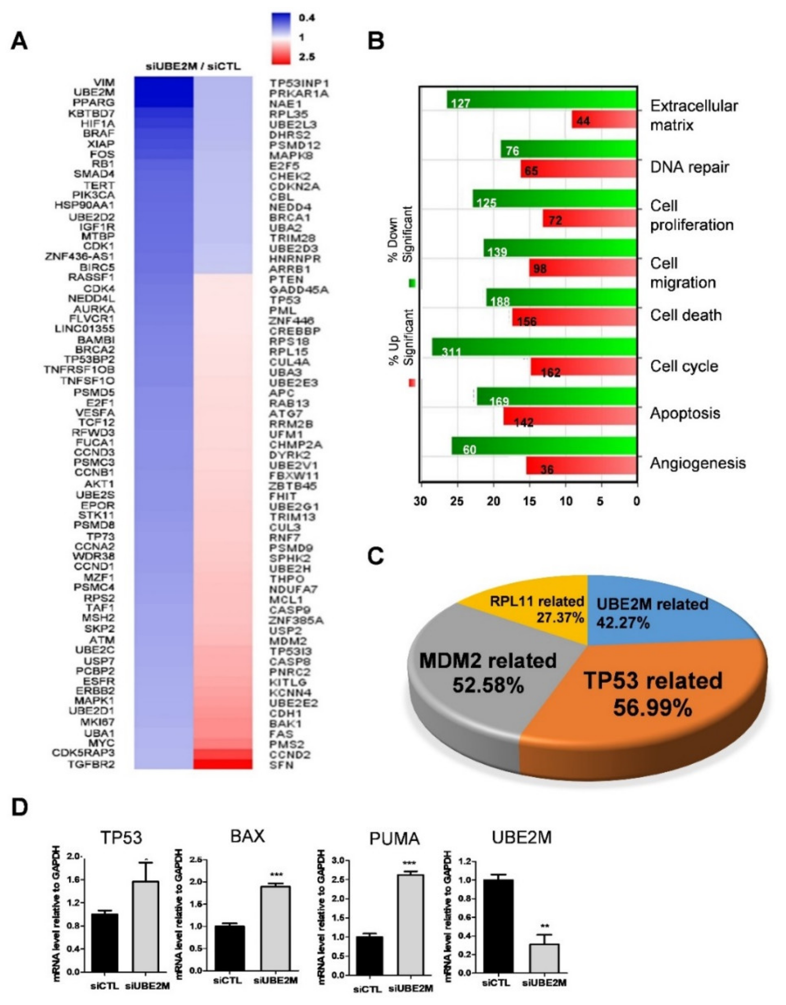Cancers 13 04901 g002