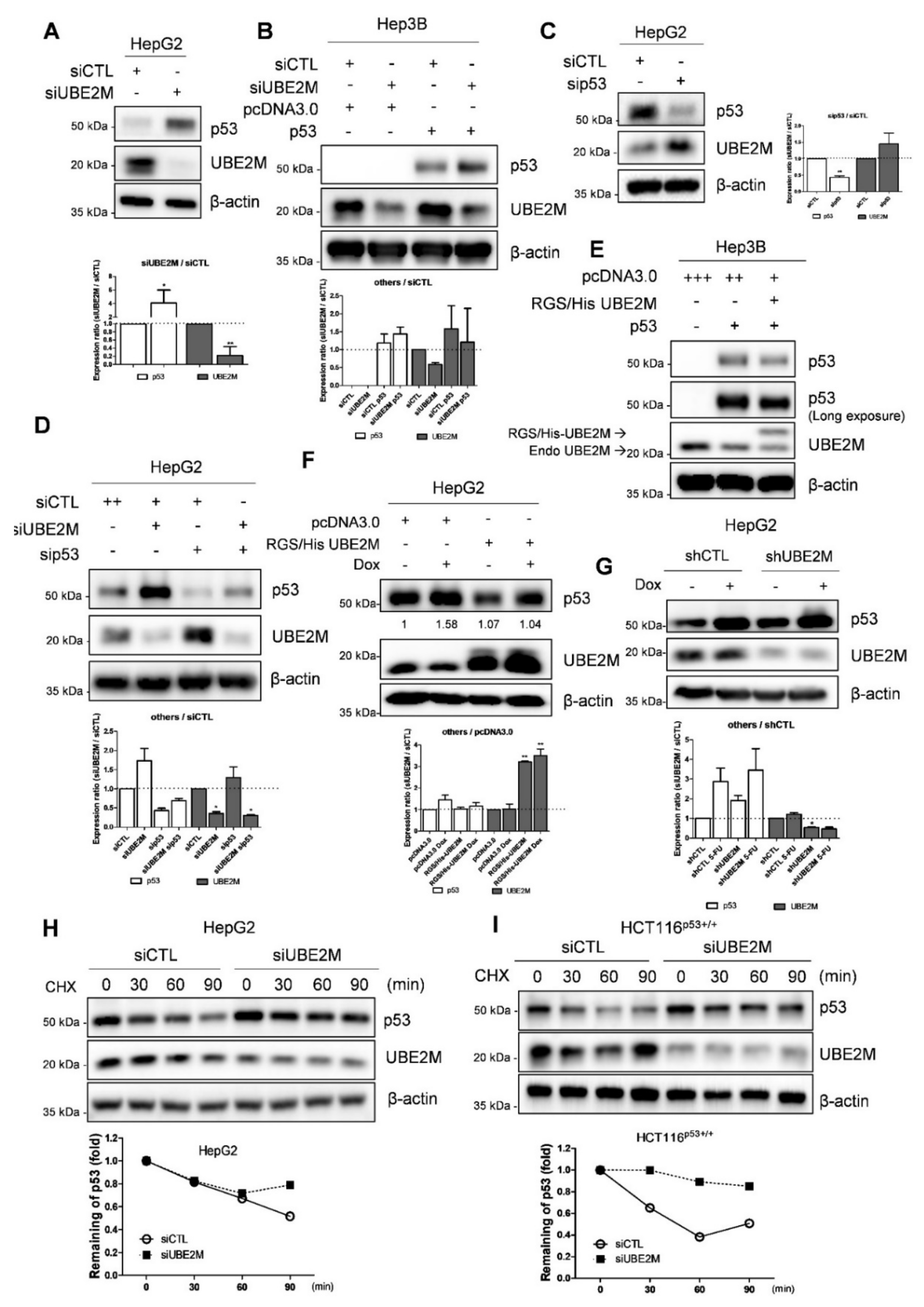 Cancers 13 04901 g003