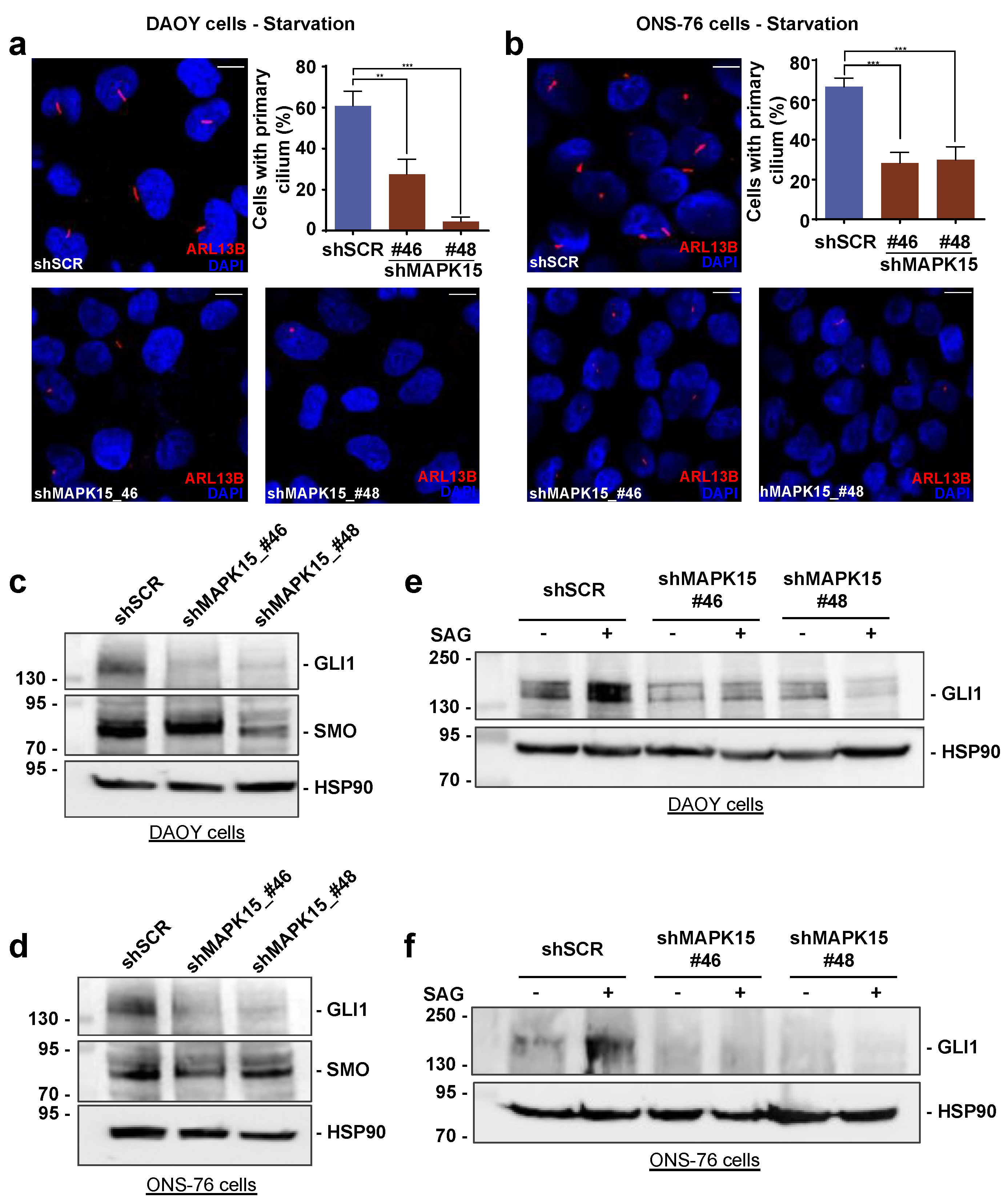 Cancers 13 04903 g003