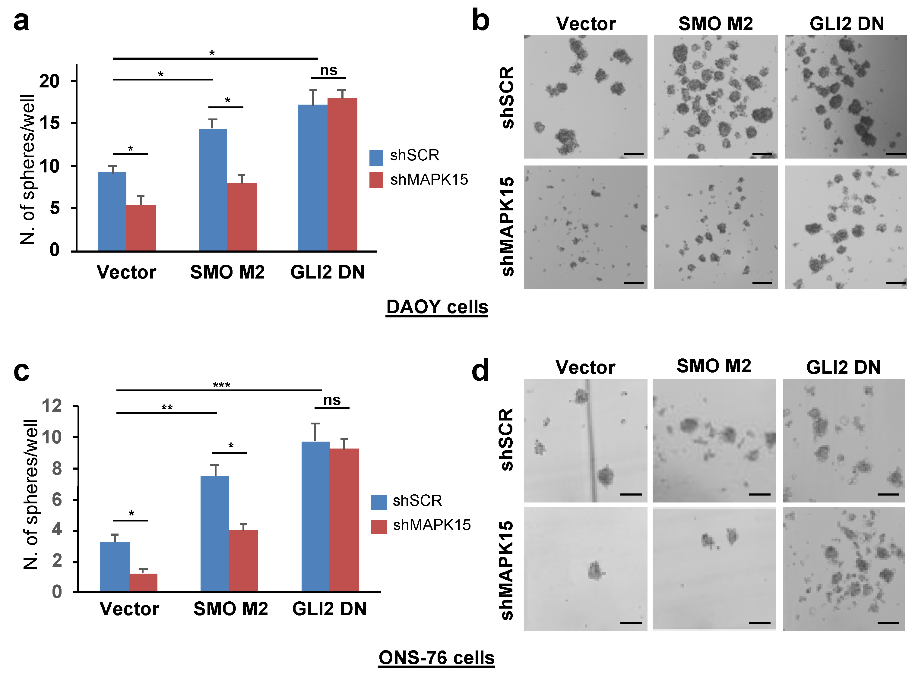 Cancers 13 04903 g005