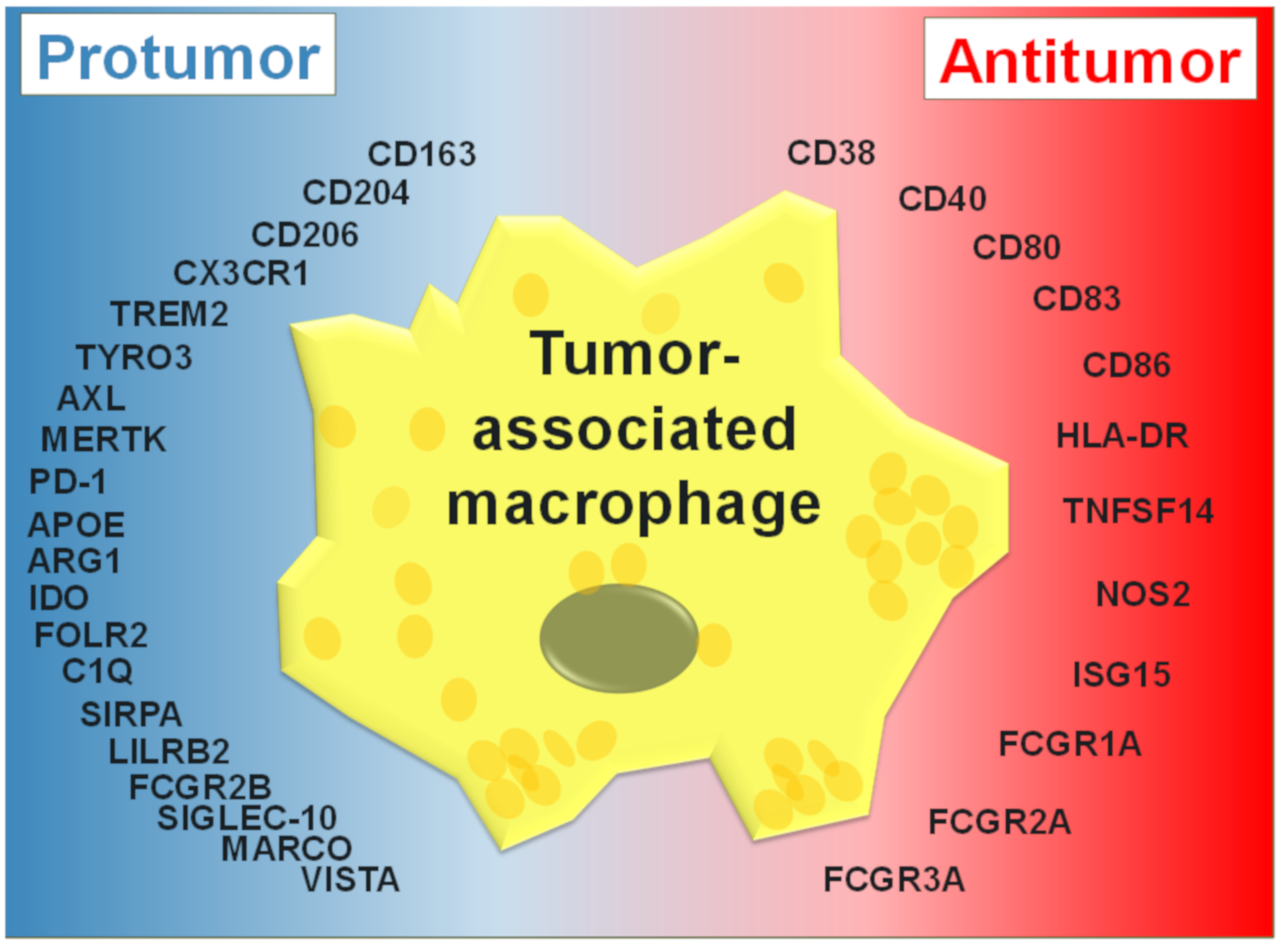 Cancers 13 04904 g001