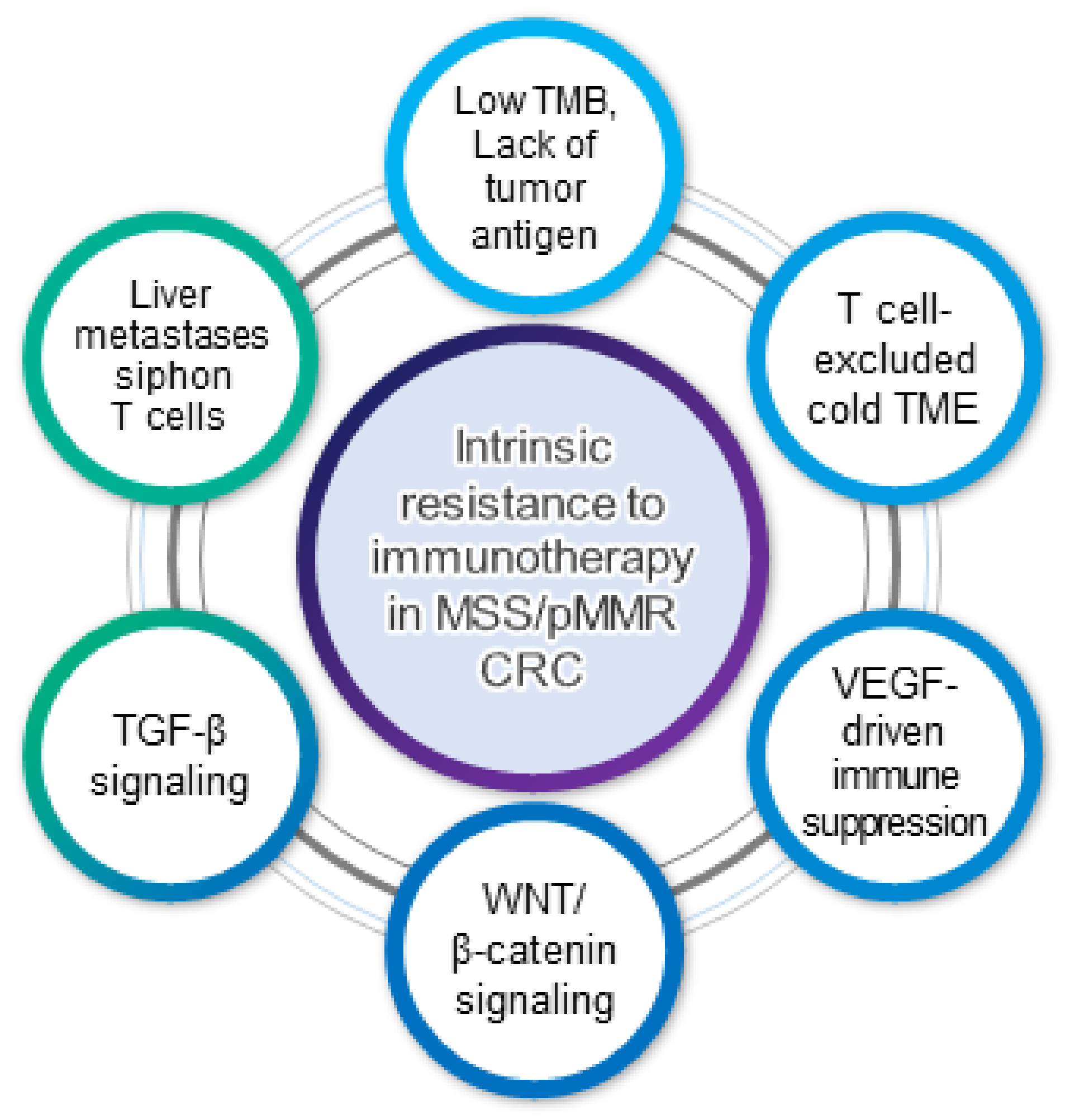Cancers 13 04906 g001