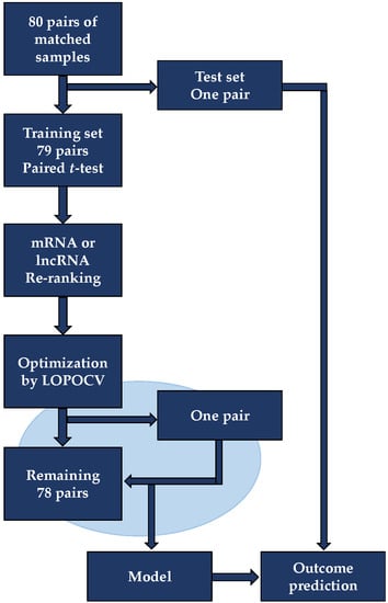 Cancers 13 04907 g0a1 550