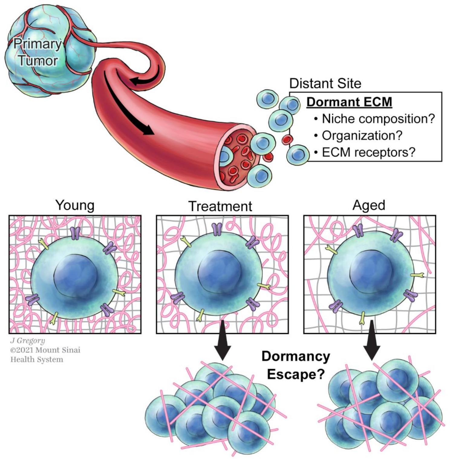 Cancers 13 04916 g002