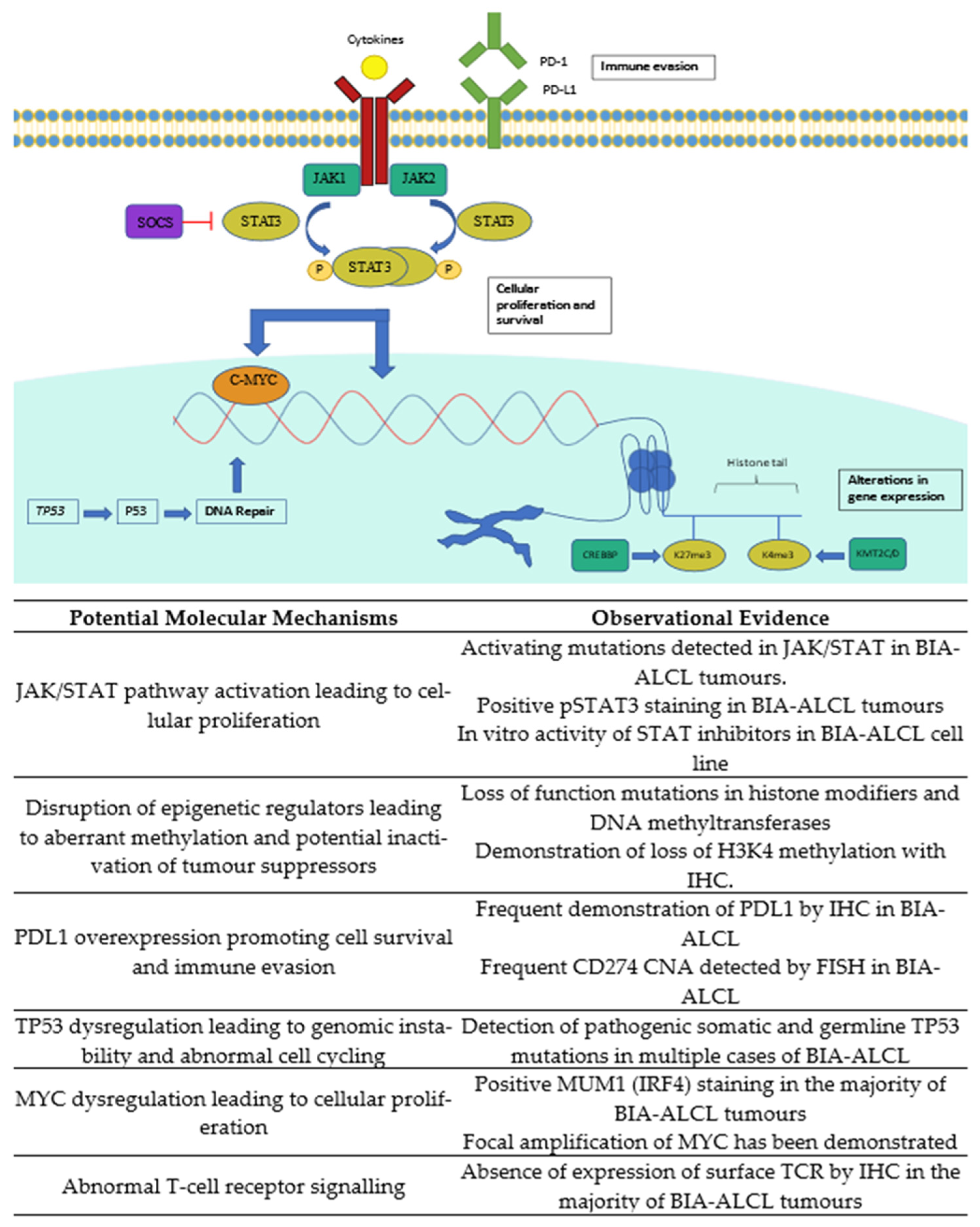 Cancers 13 04921 g001 Cancers 13 04921 g001