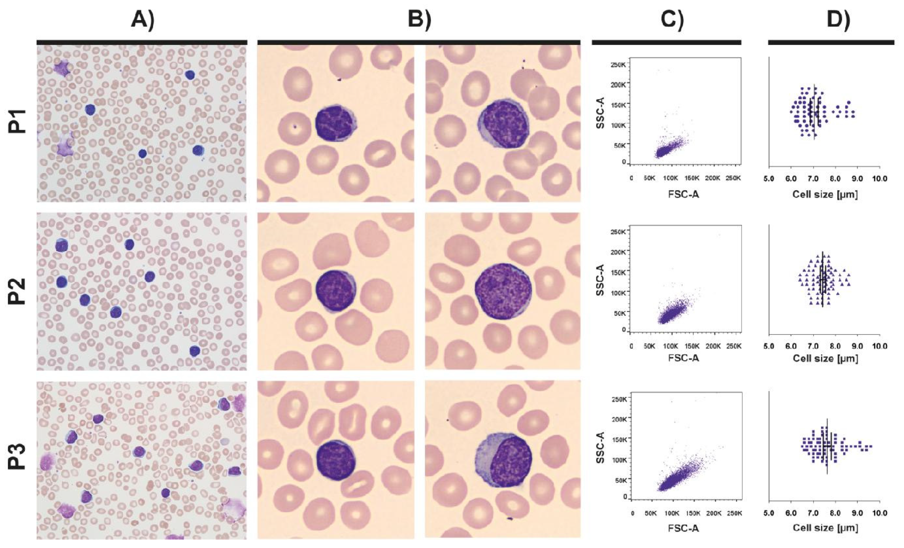 Cancers 13 04922 g001