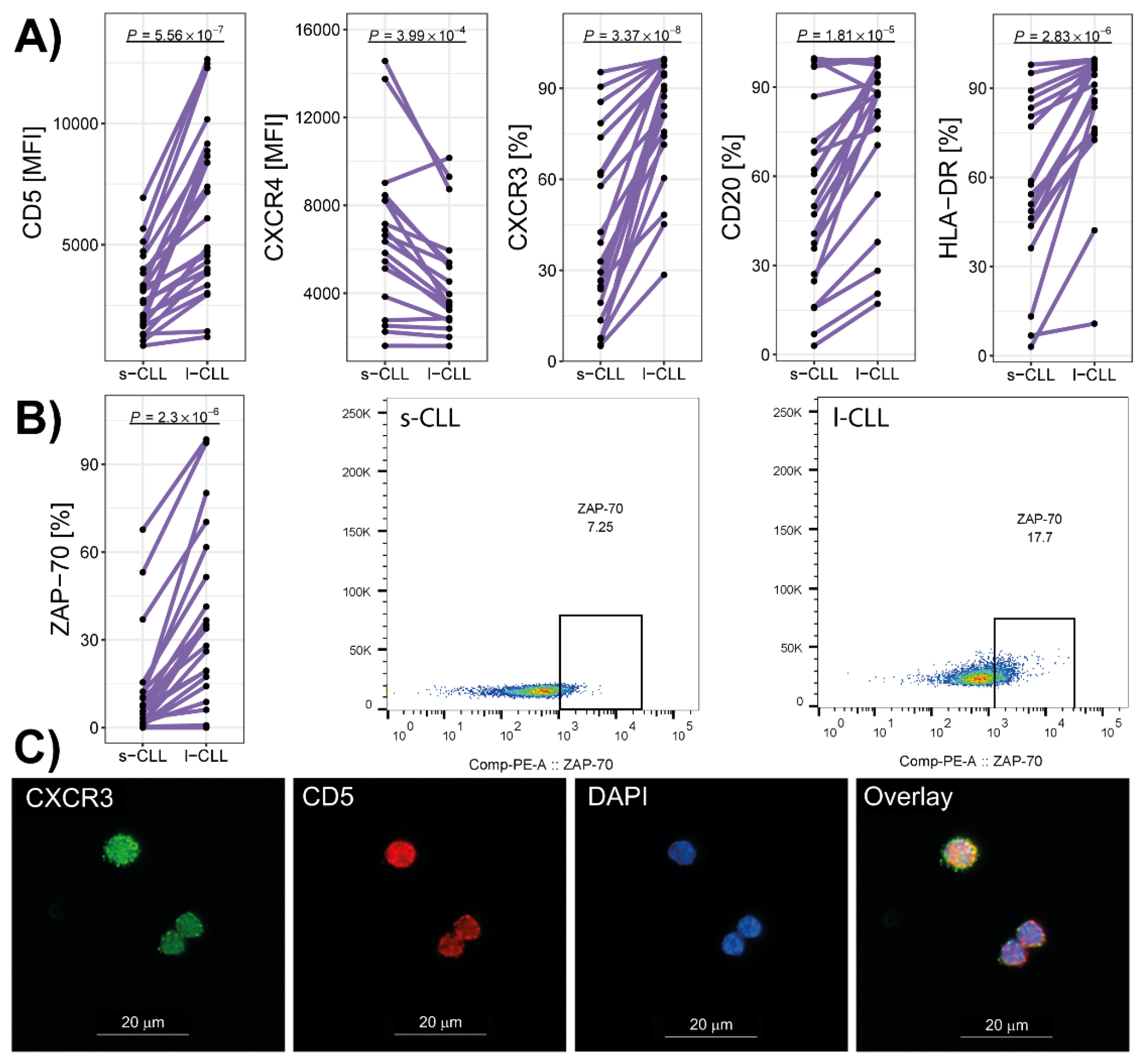 Cancers 13 04922 g003