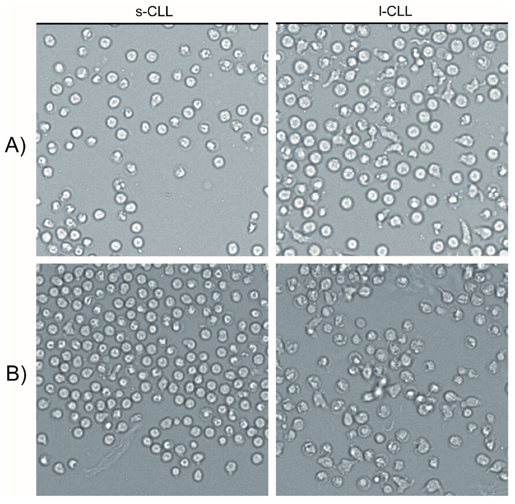 Cancers 13 04922 g007