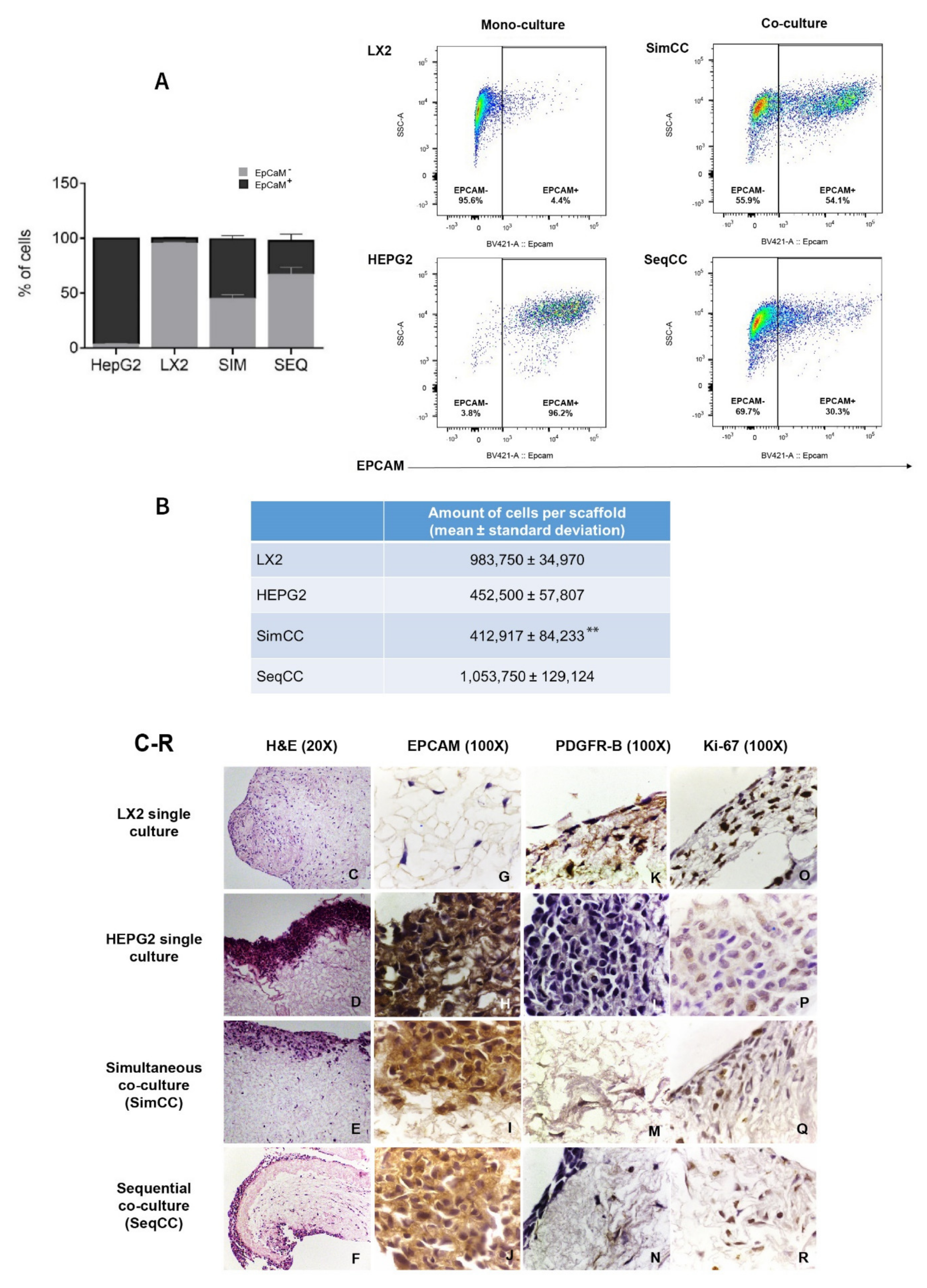 Cancers 13 04936 g001