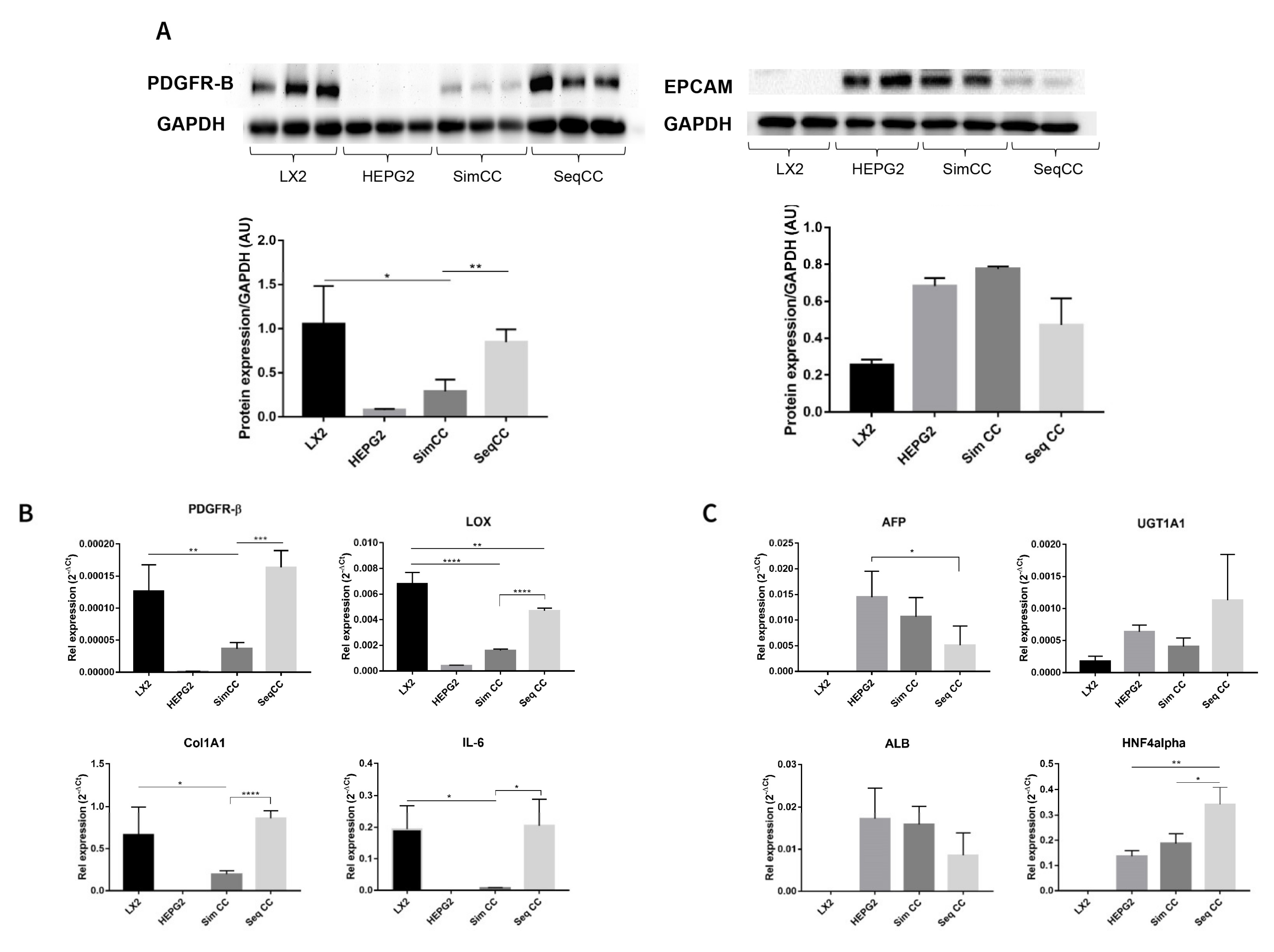 Cancers 13 04936 g002