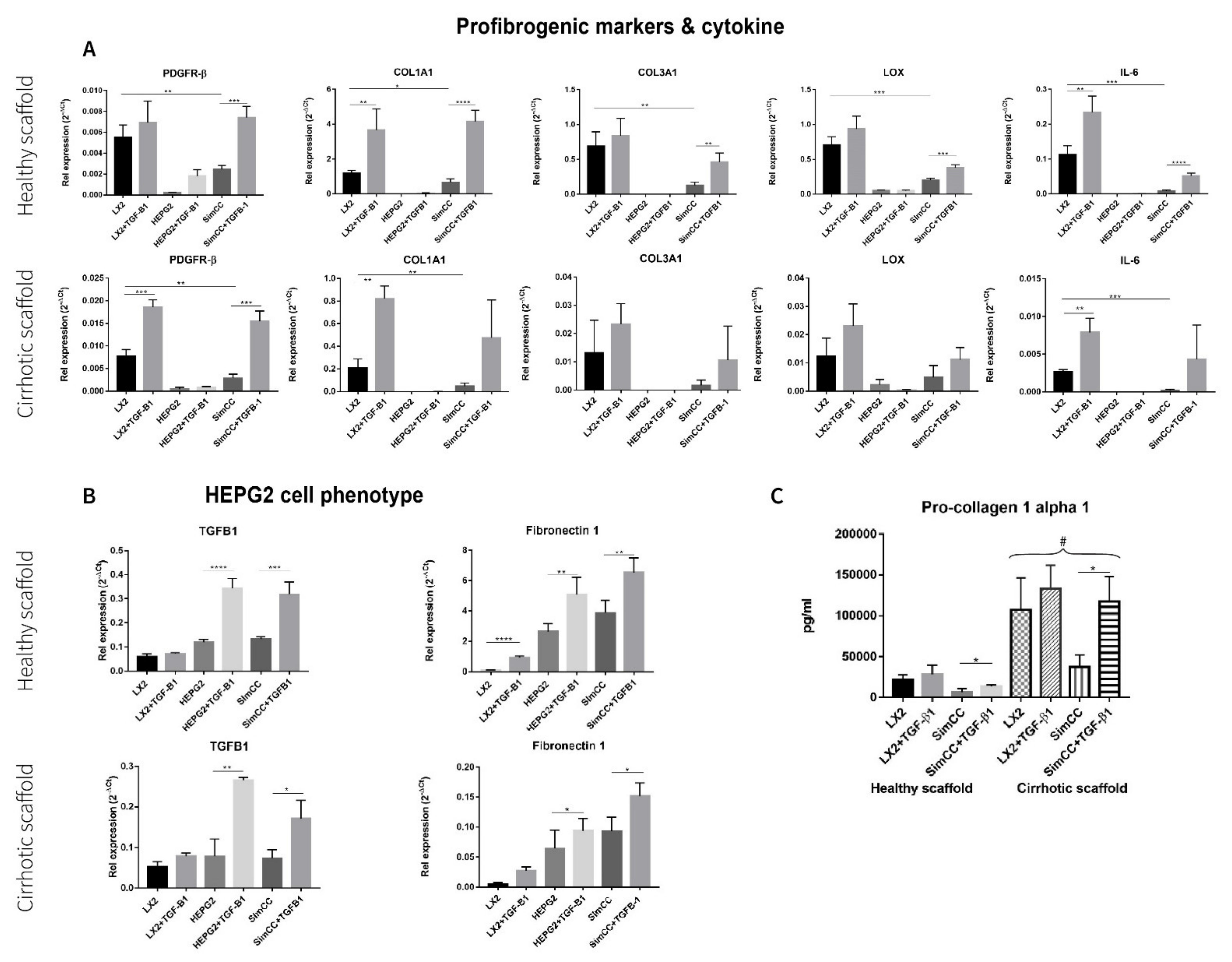 Cancers 13 04936 g003