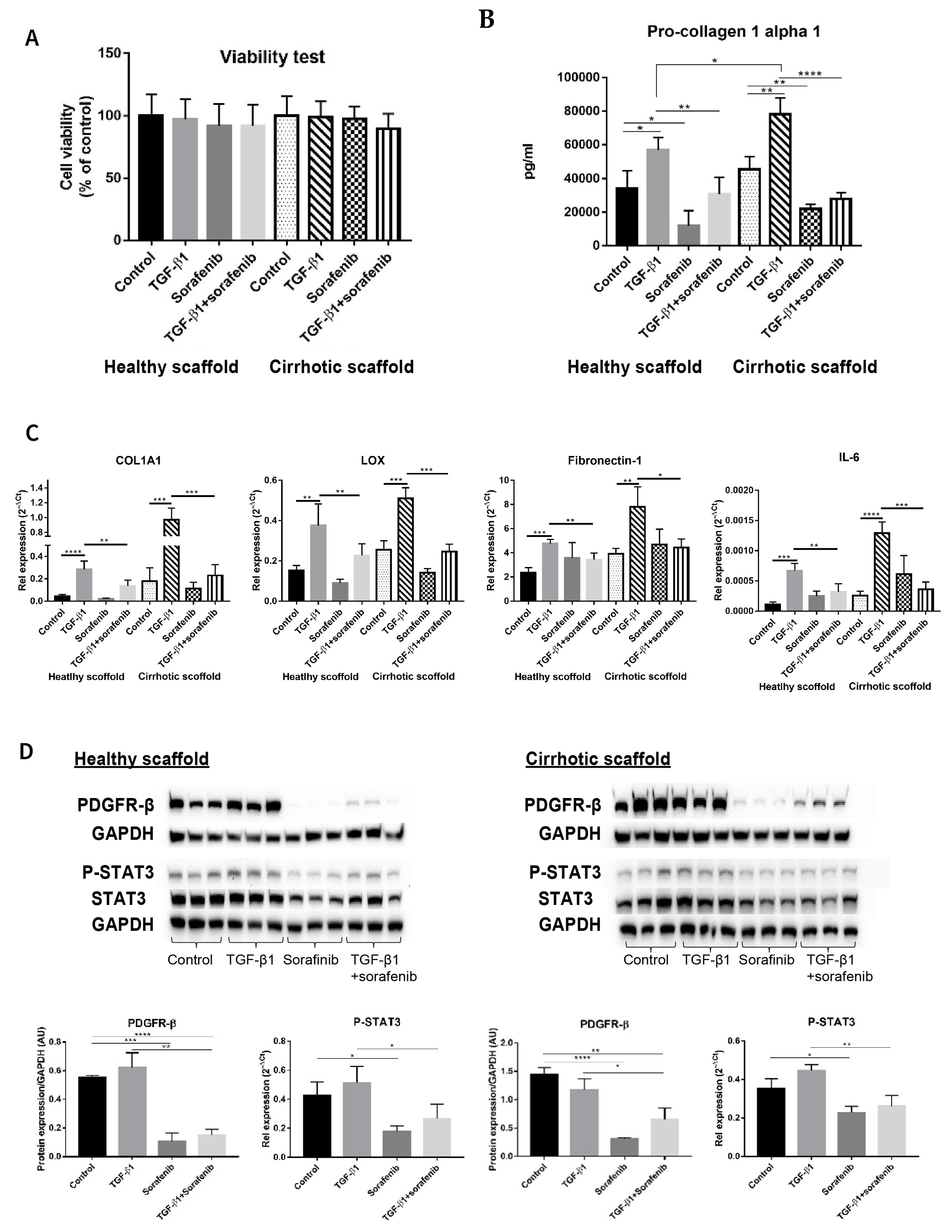 Cancers 13 04936 g004