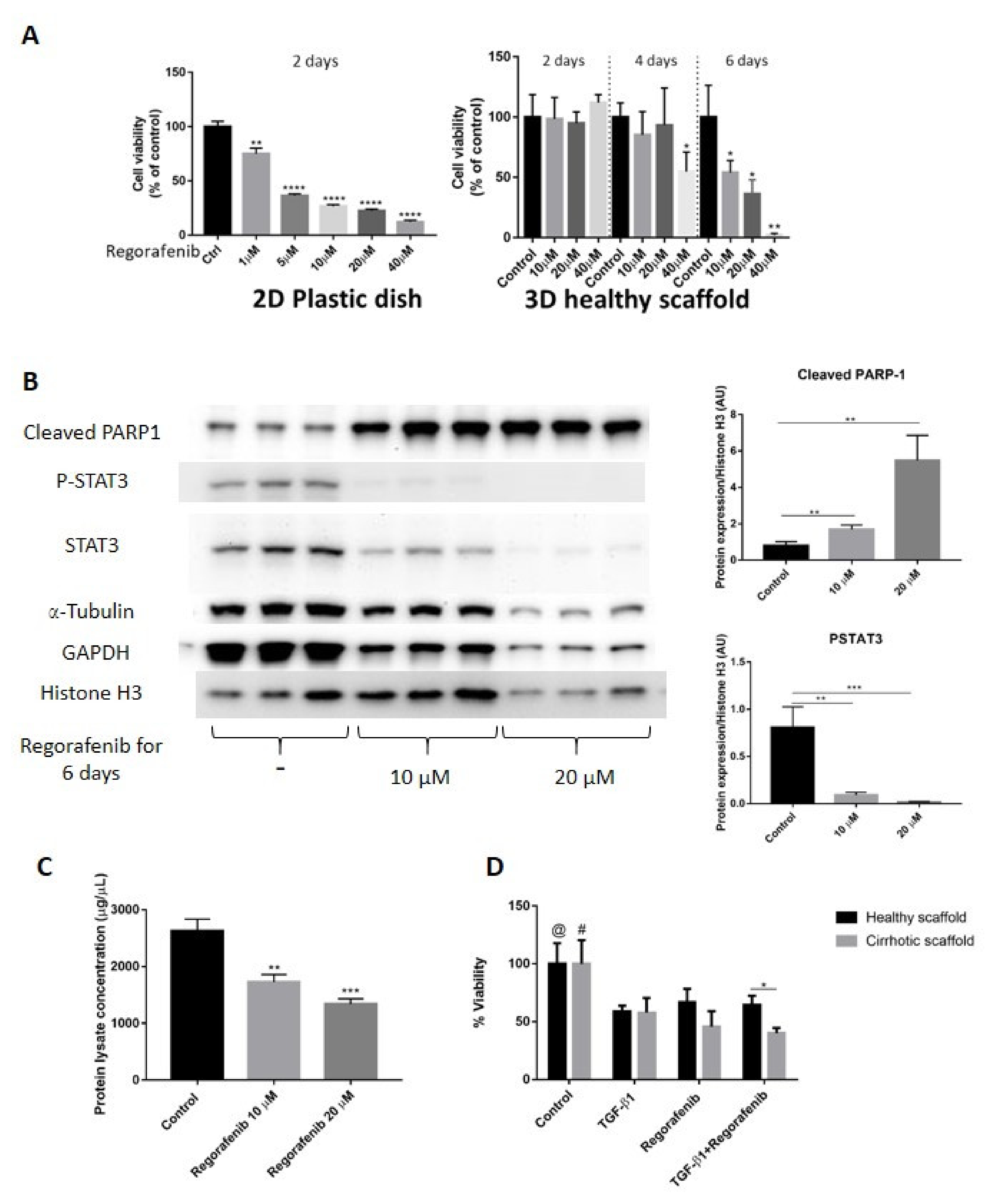 Cancers 13 04936 g005