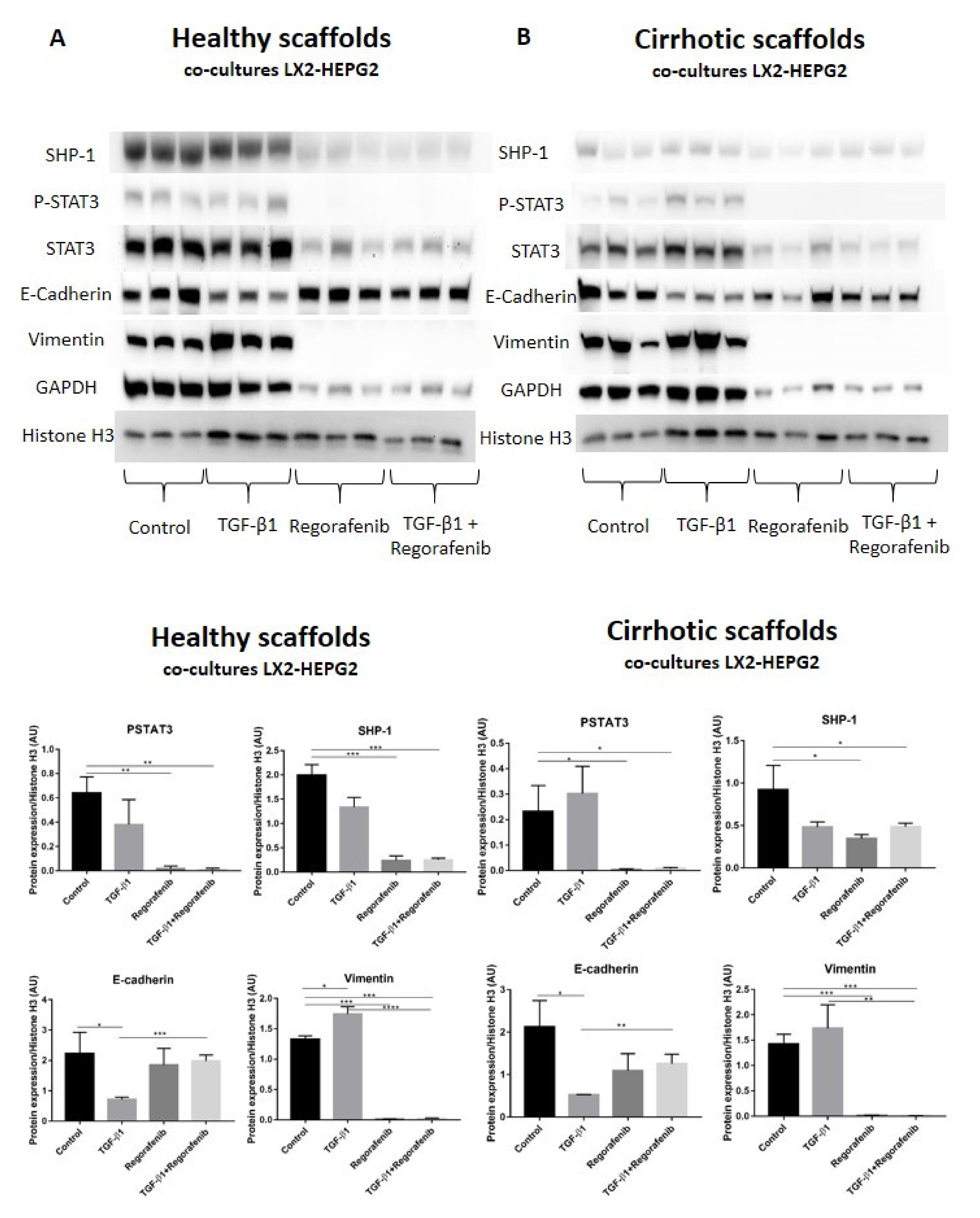 Cancers 13 04936 g006