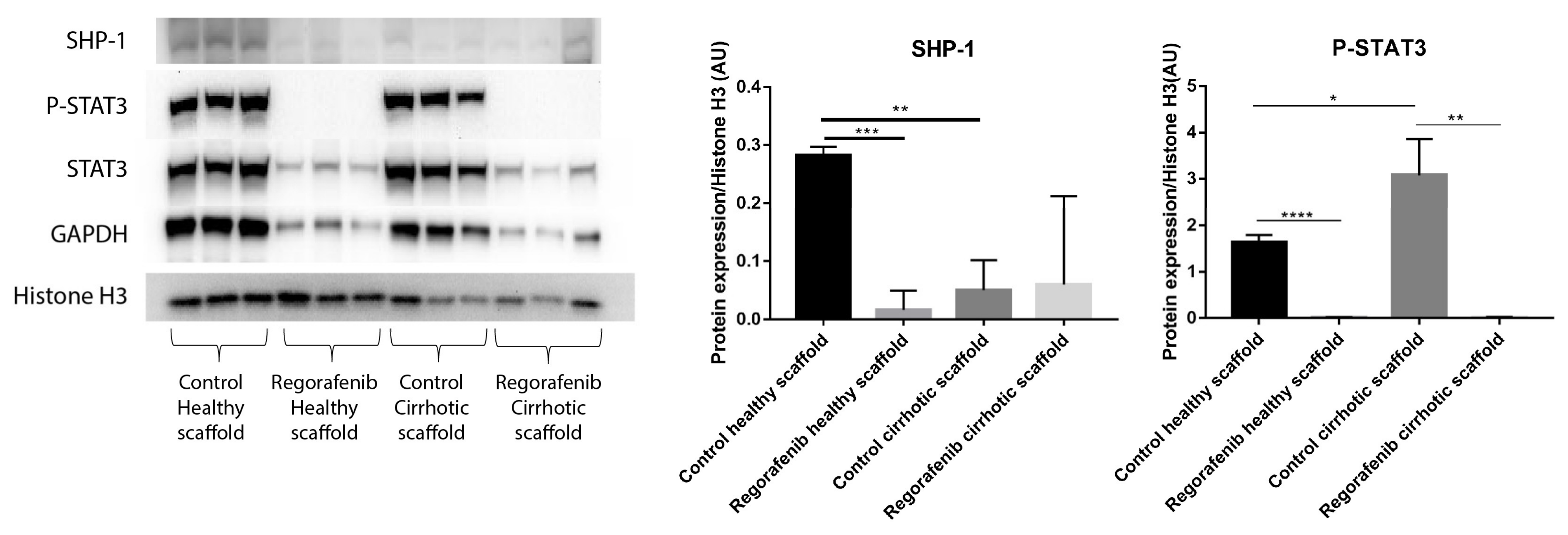 Cancers 13 04936 g007