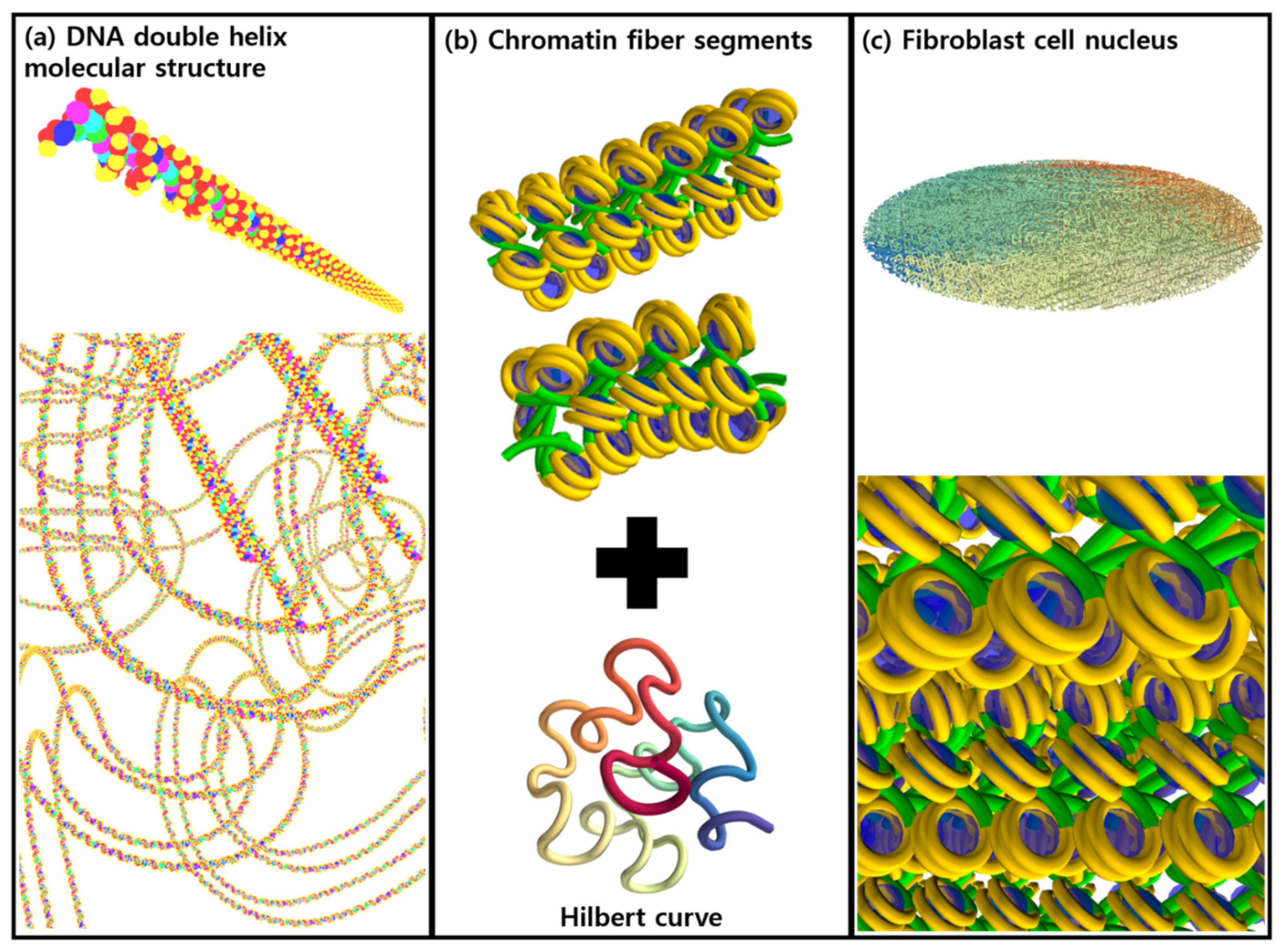 Cancers 13 04940 g001