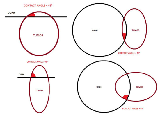 Cancers 13 04963 g0a1 550