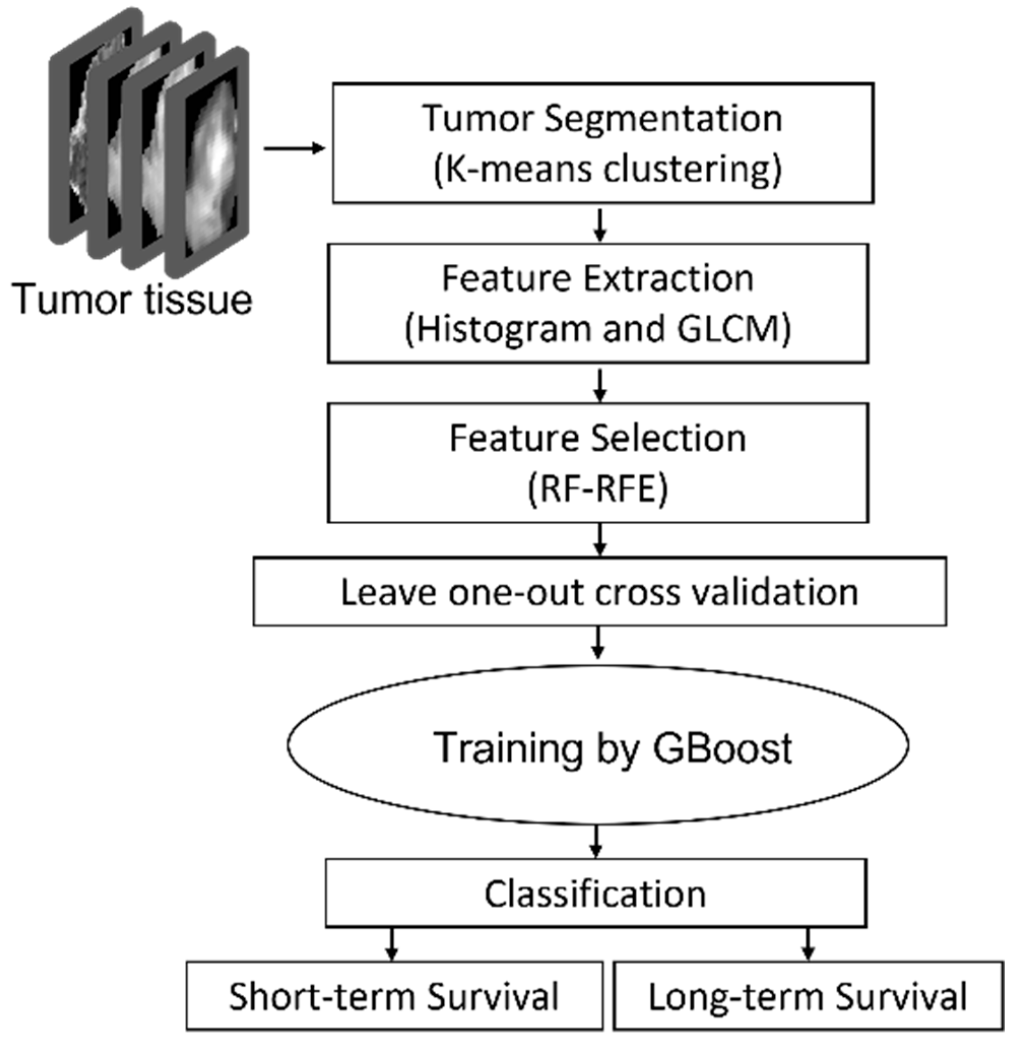 Cancers 13 04976 g001