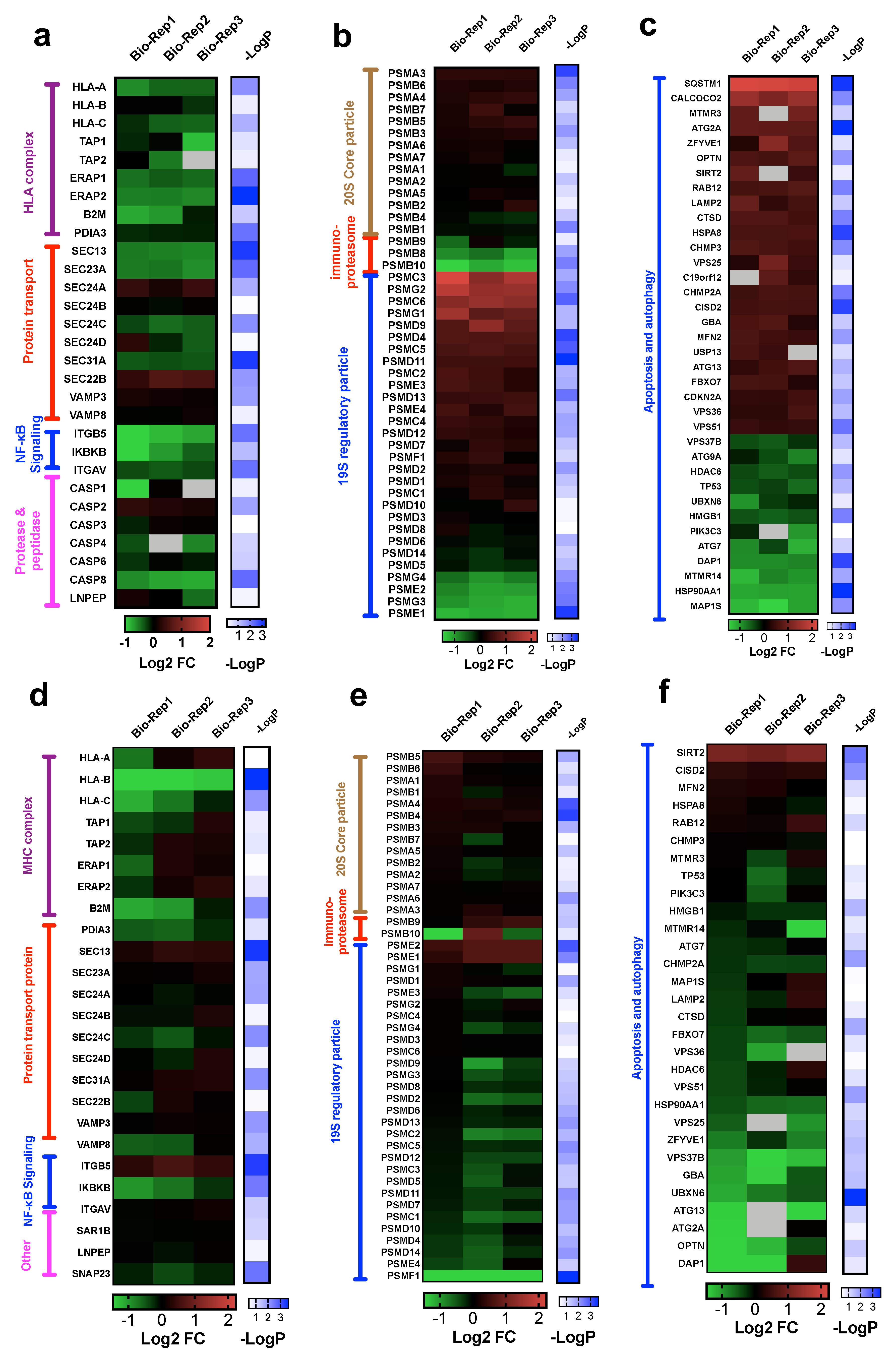 Cancers 13 04977 g005