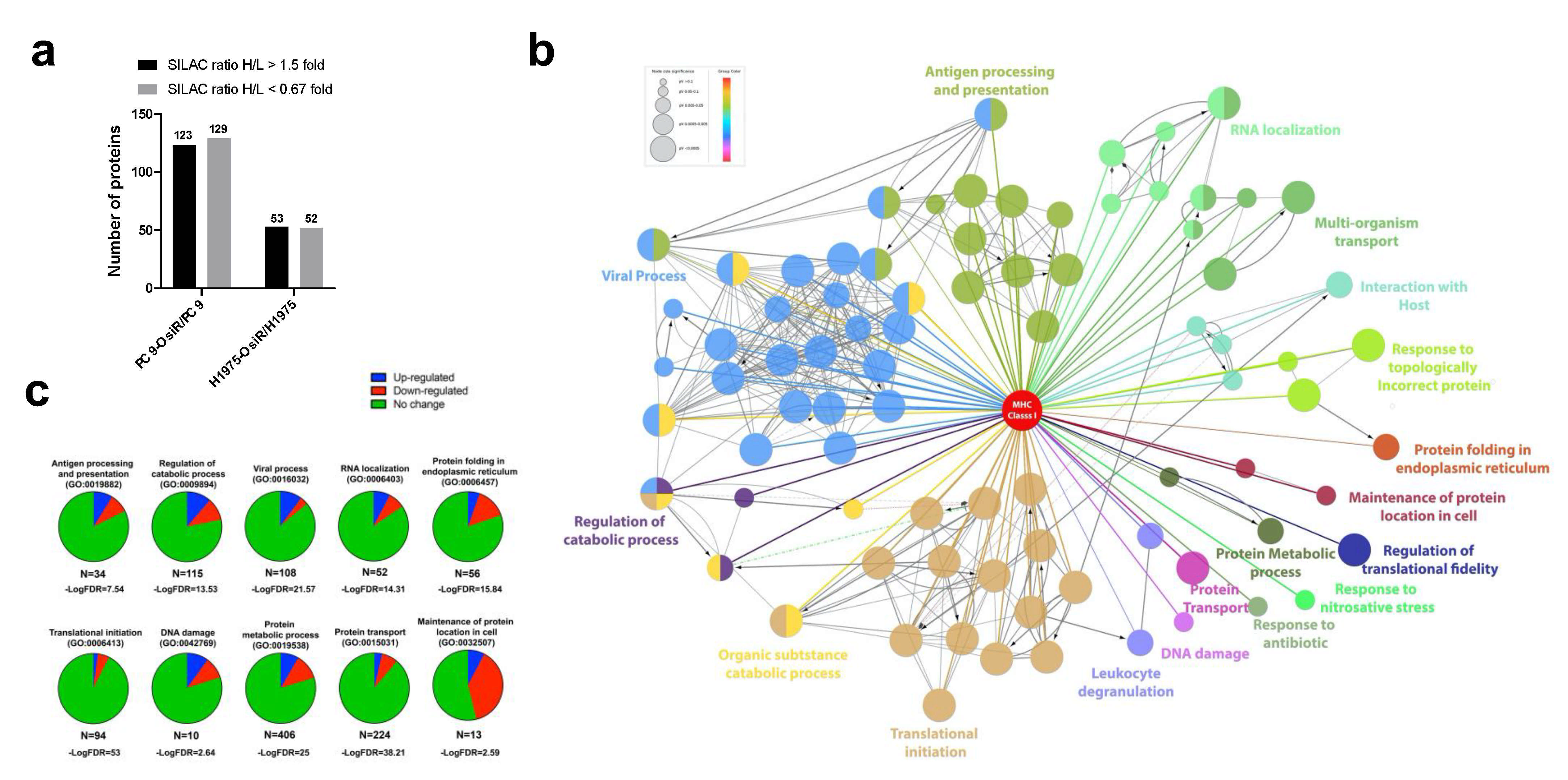 Cancers 13 04977 g007