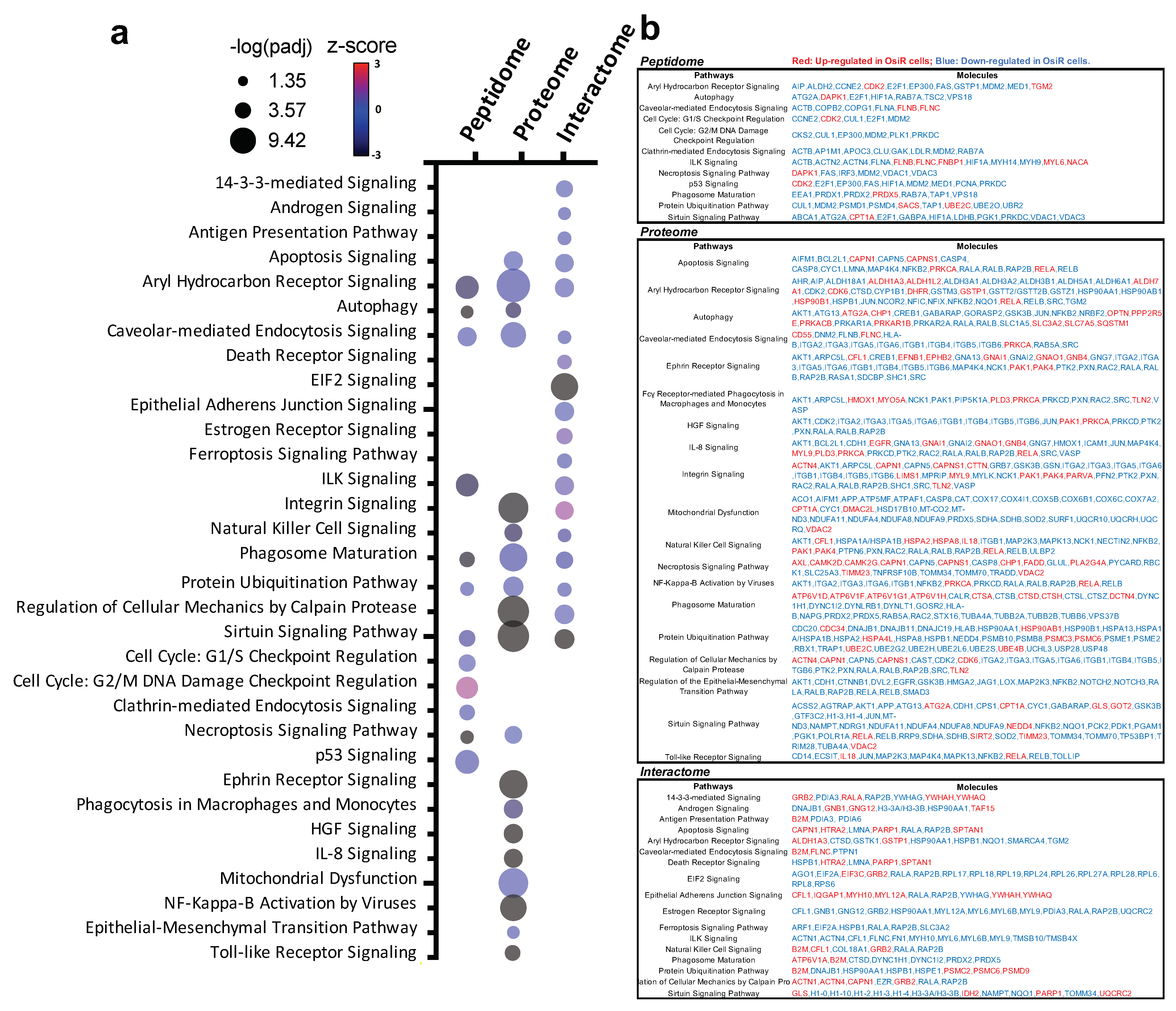 Cancers 13 04977 g009