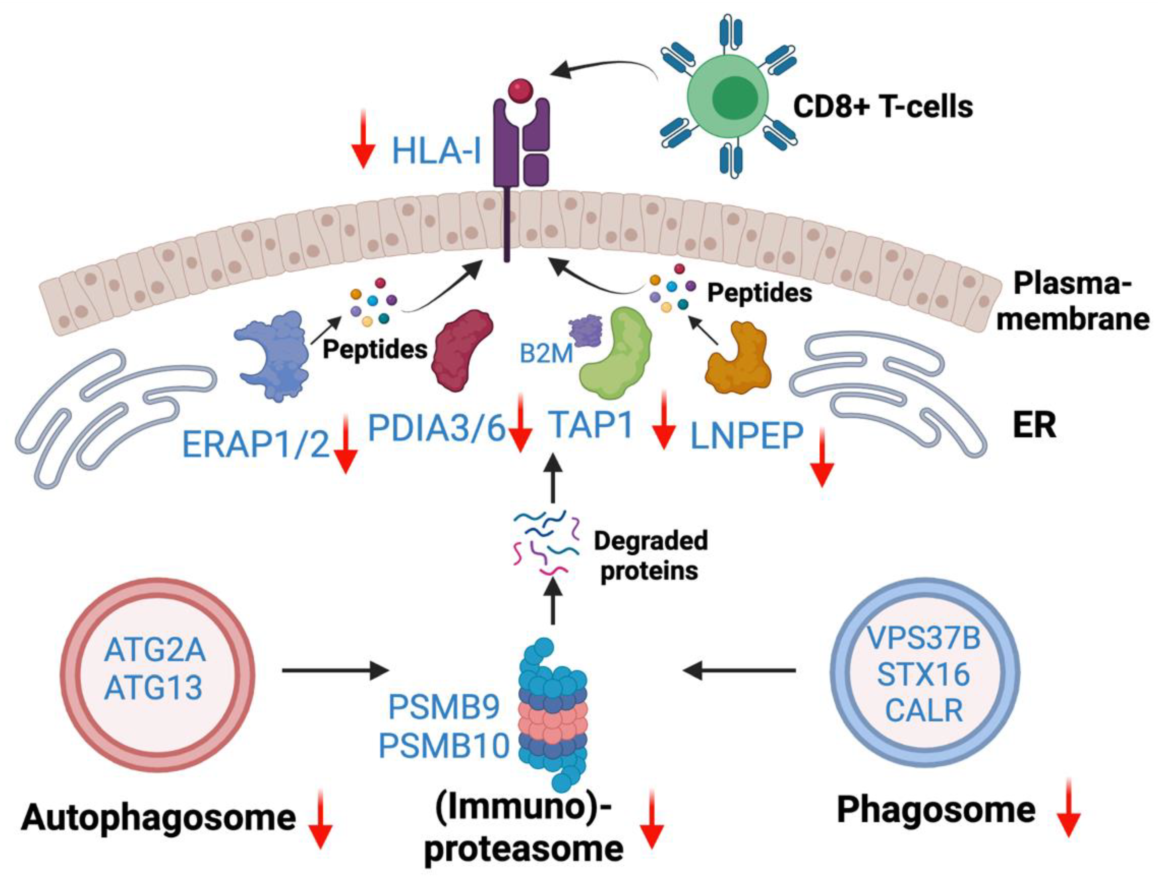 Cancers 13 04977 g010