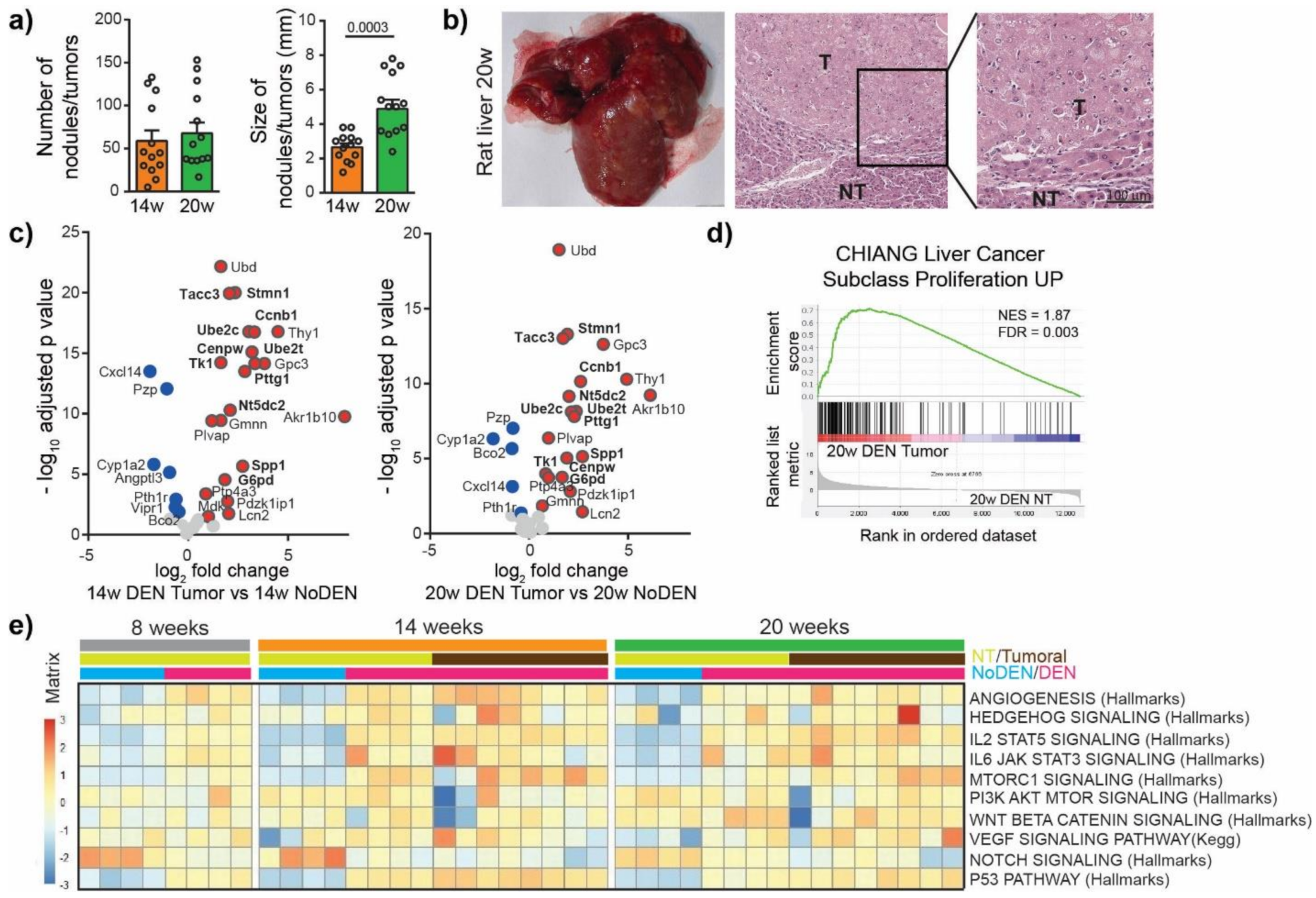 Cancers 13 04981 g003
