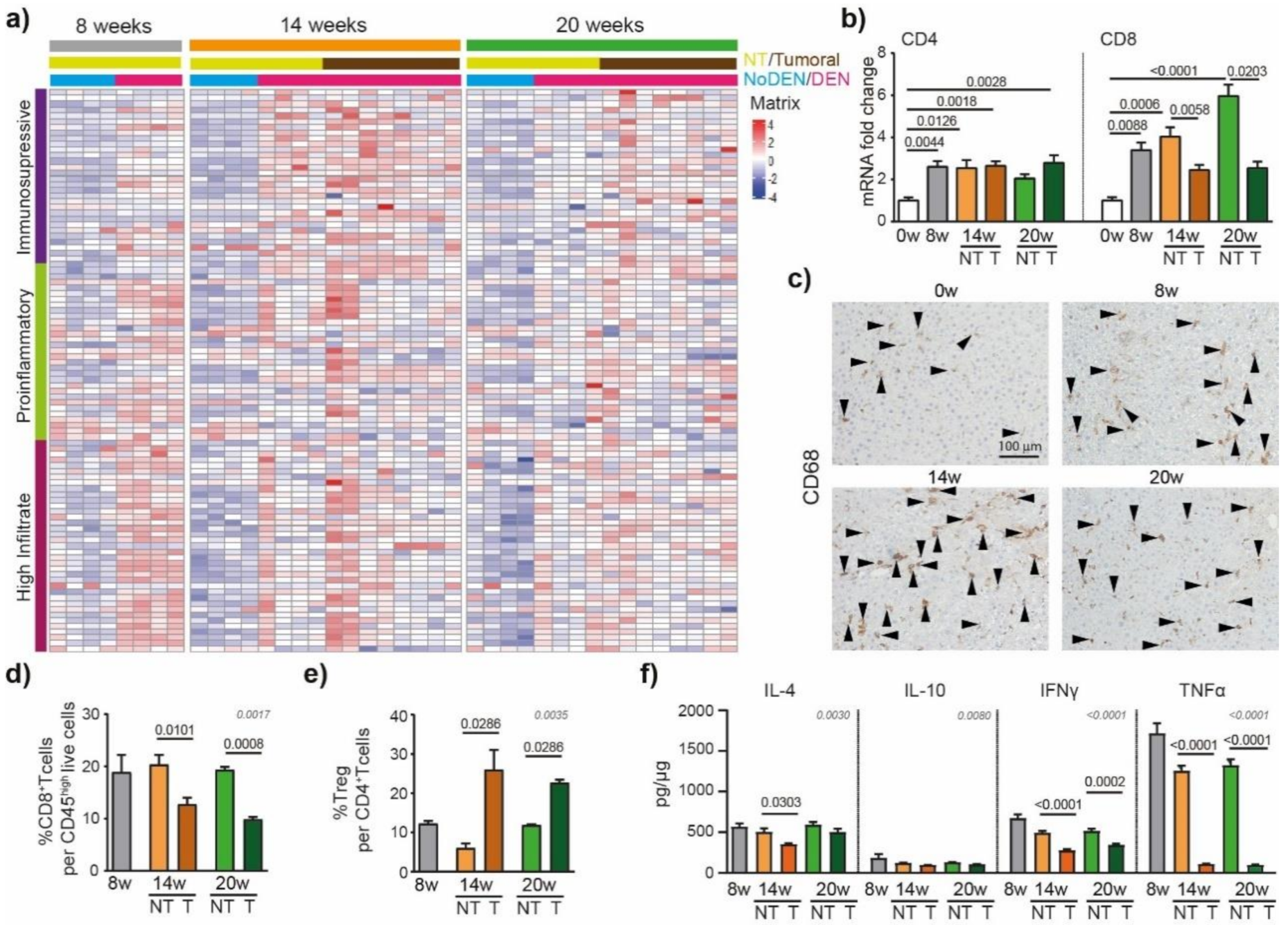Cancers 13 04981 g004