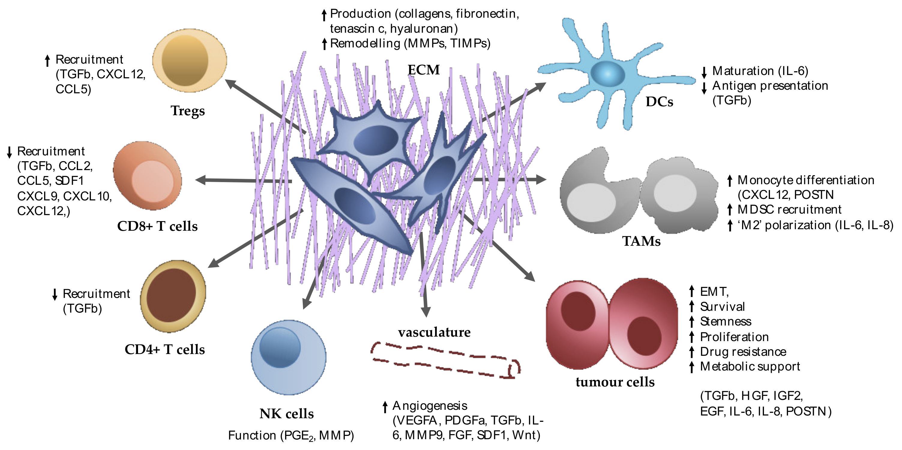 Cancers 13 04984 g001 Cancers 13 04984 g001